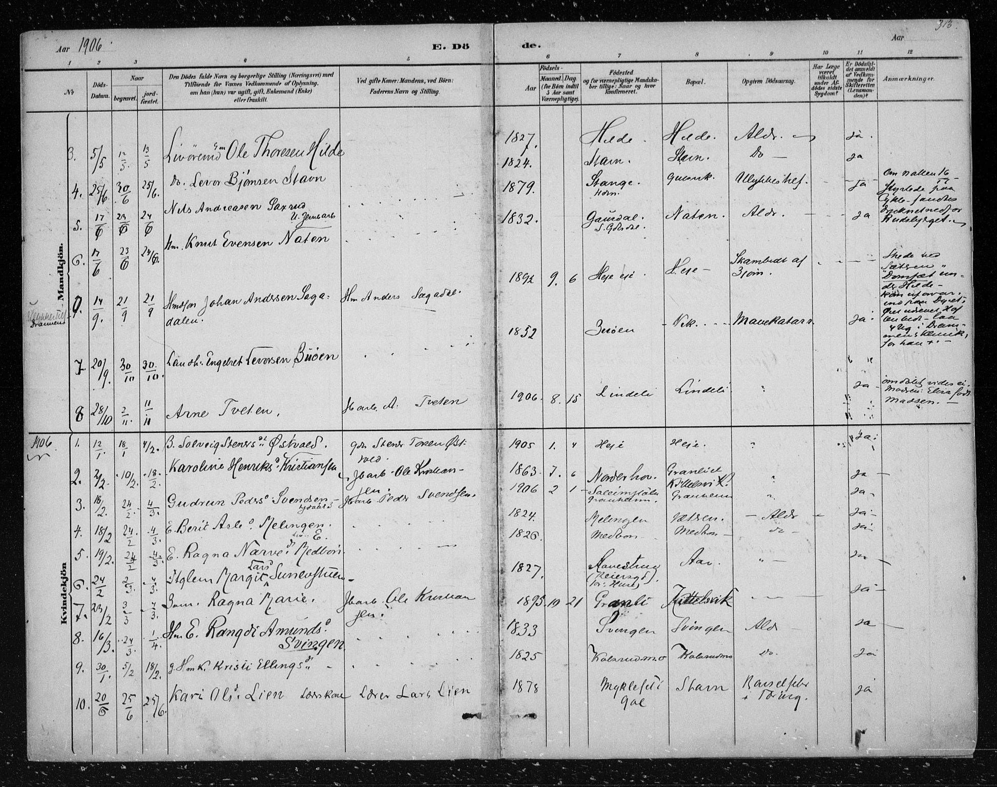 Nes kirkebøker, SAKO/A-236/F/Fa/L0012: Parish register (official) no. 12, 1881-1917, p. 313