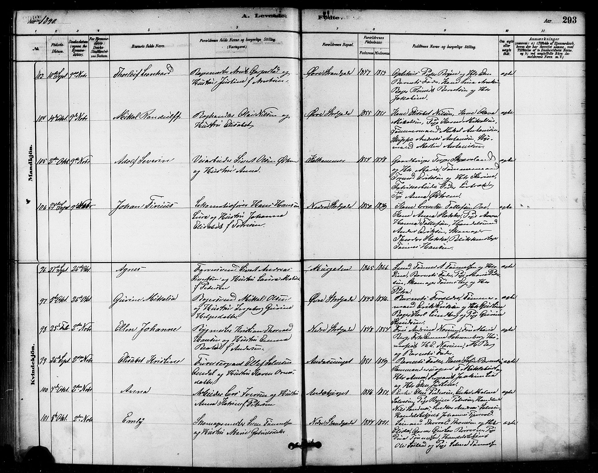 Domkirken sokneprestkontor, AV/SAST-A-101812/001/30/30BB/L0015: Parish register (copy) no. B 15, 1880-1891, p. 293