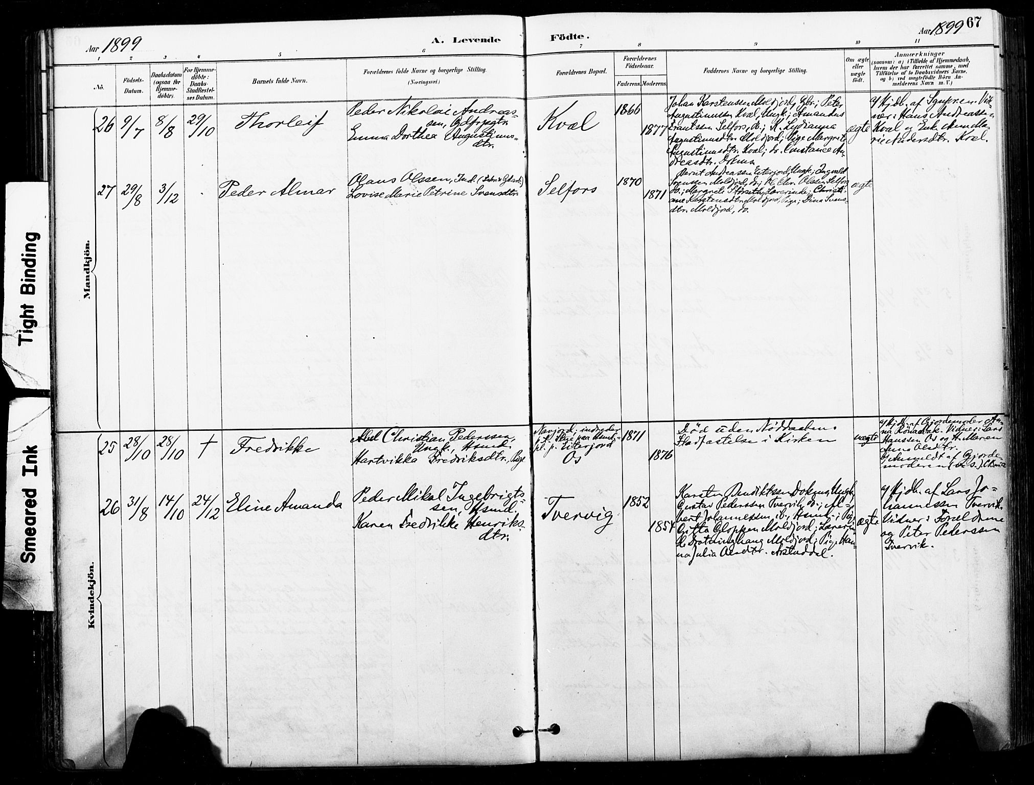 Ministerialprotokoller, klokkerbøker og fødselsregistre - Nordland, AV/SAT-A-1459/846/L0646: Parish register (official) no. 846A04, 1887-1901, p. 67