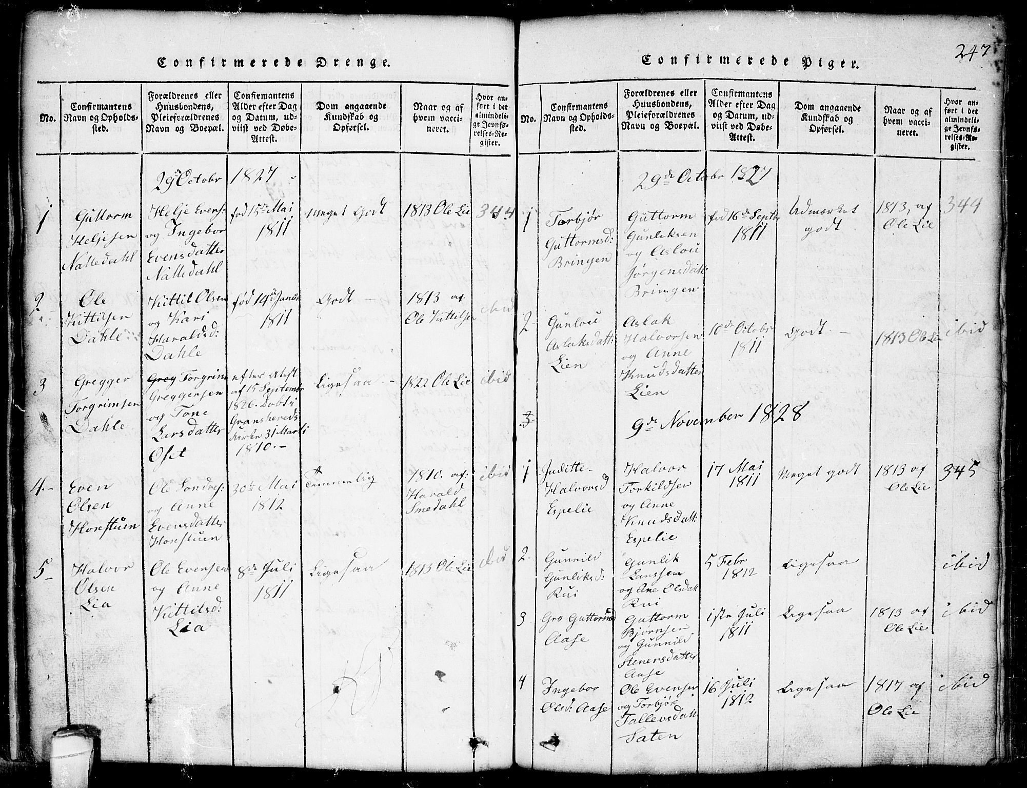 Seljord kirkebøker, SAKO/A-20/G/Gb/L0002: Parish register (copy) no. II 2, 1815-1854, p. 247