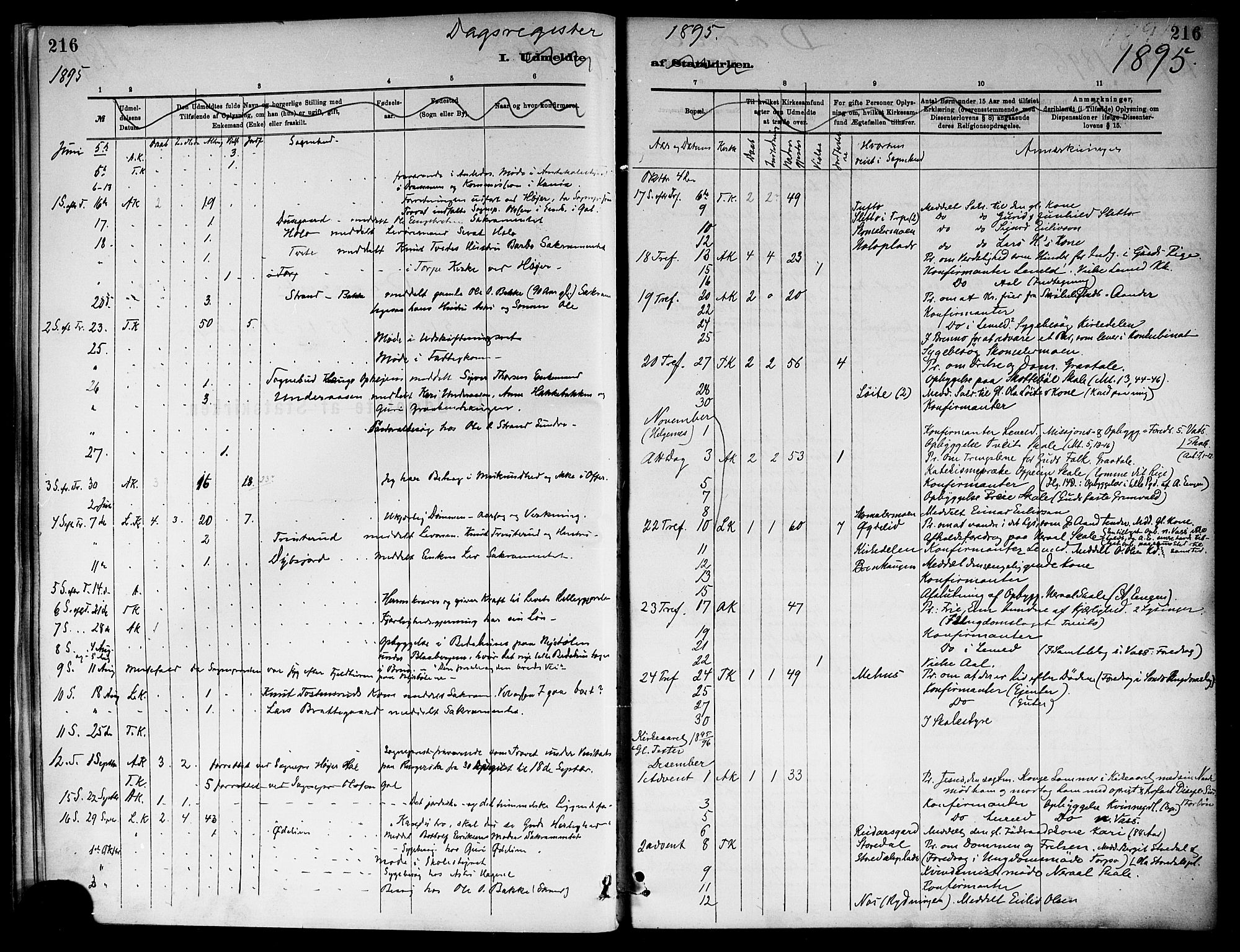 Ål kirkebøker, AV/SAKO-A-249/F/Fa/L0008: Parish register (official) no. I 8, 1882-1896, p. 216