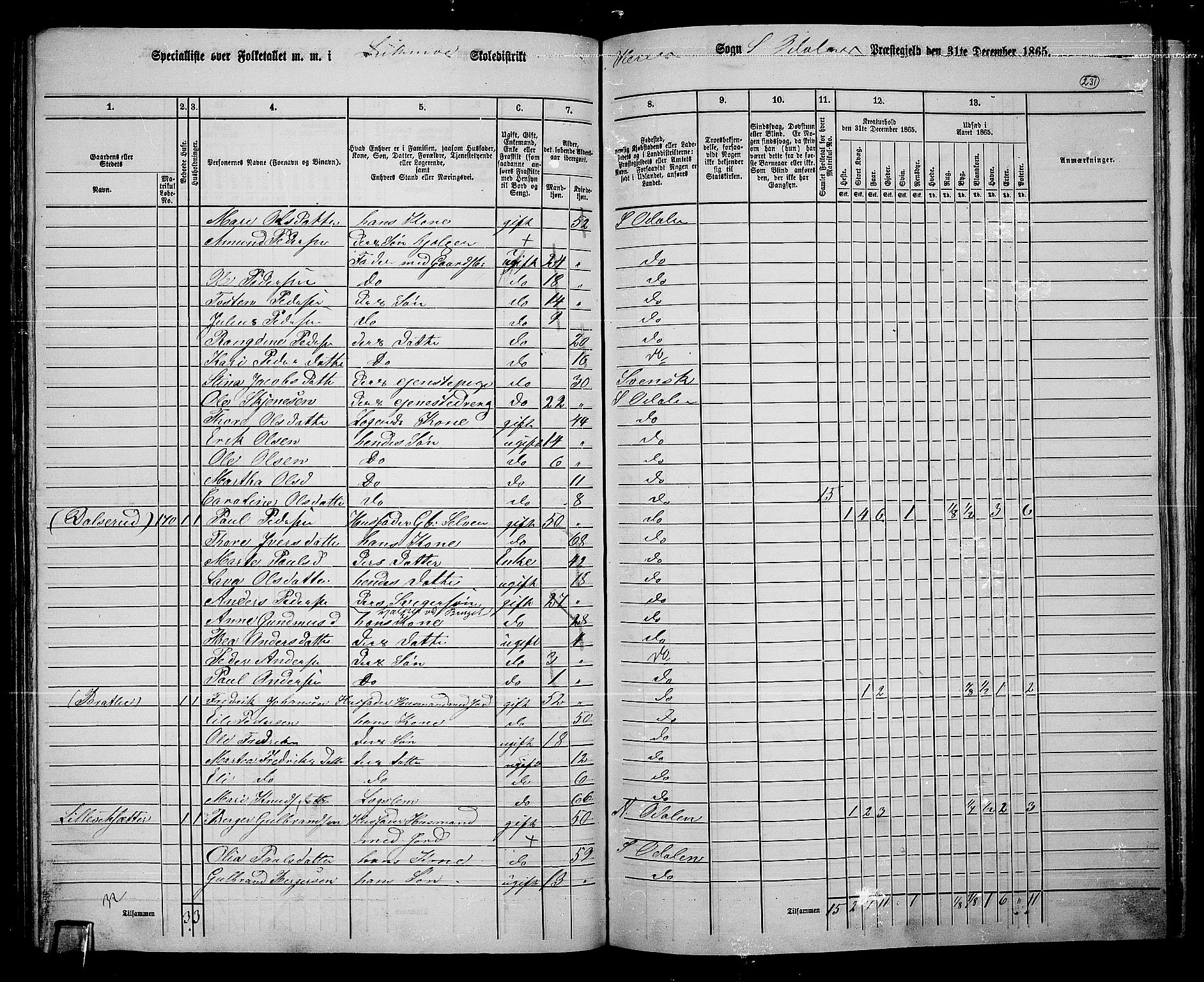 RA, 1865 census for Sør-Odal, 1865, p. 202