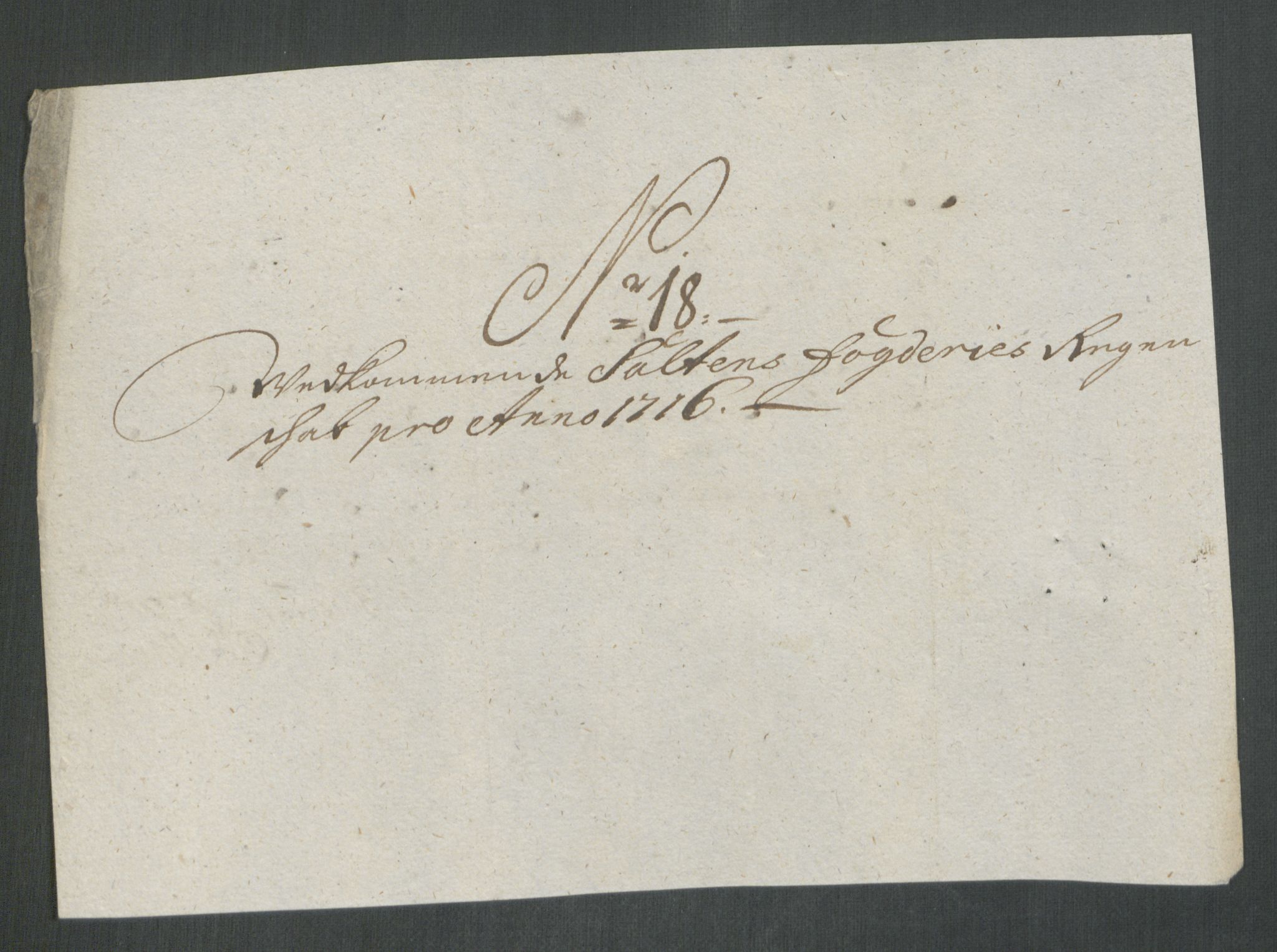 Rentekammeret inntil 1814, Reviderte regnskaper, Fogderegnskap, RA/EA-4092/R66/L4586: Fogderegnskap Salten, 1716, p. 125