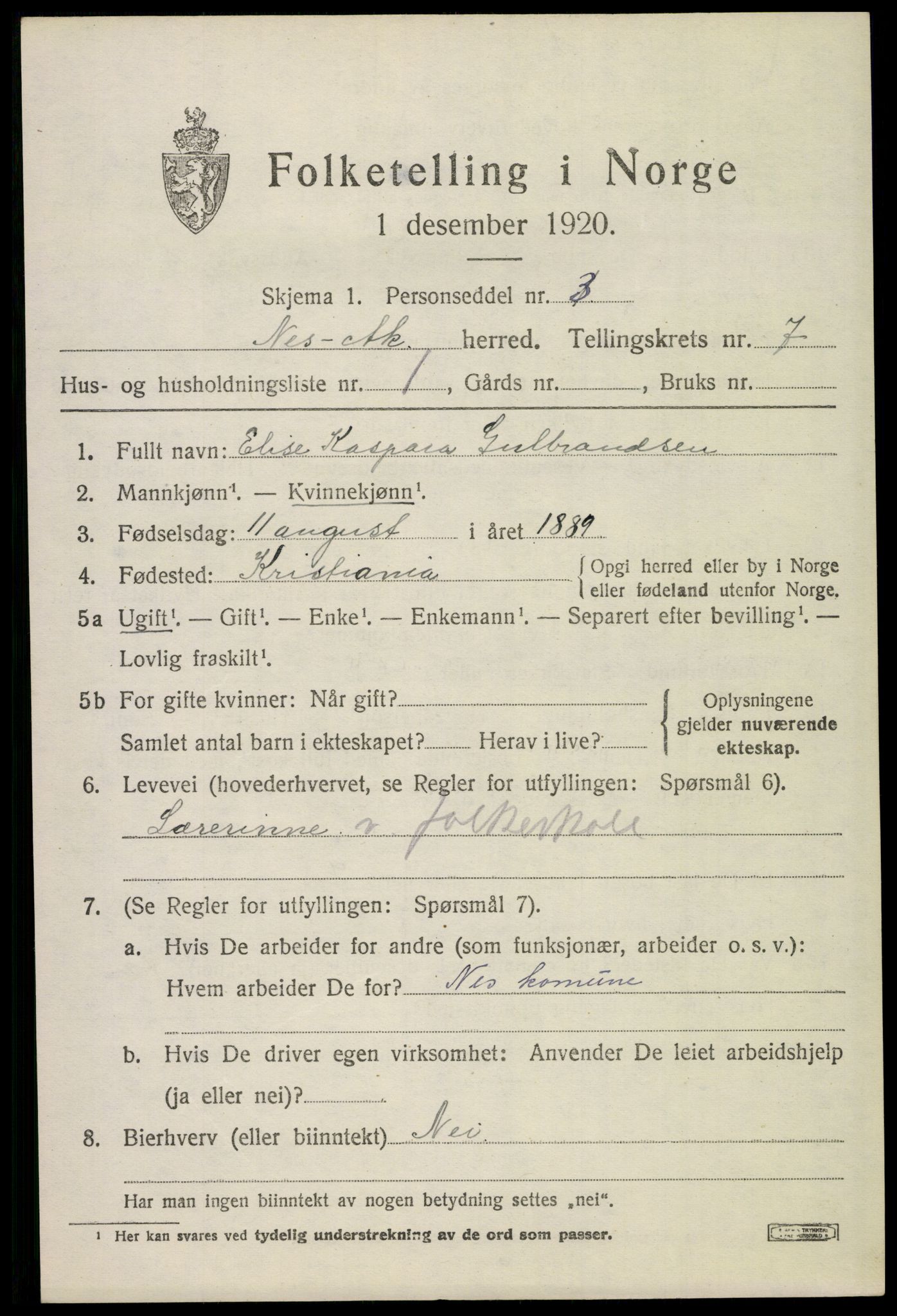 SAO, 1920 census for Nes, 1920, p. 8316