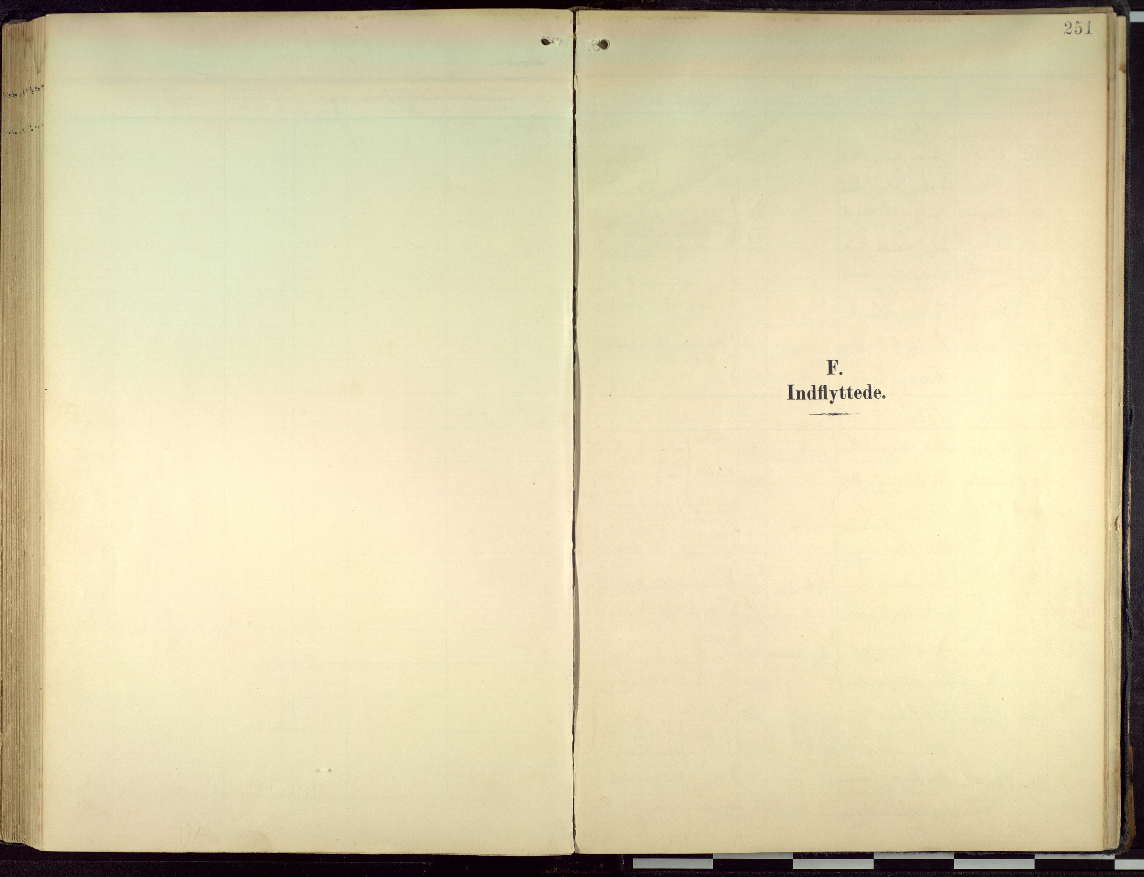 Hamar prestekontor, SAH/DOMPH-002/H/Ha/Haa/L0004: Parish register (official) no. 4, 1899-1973, p. 251