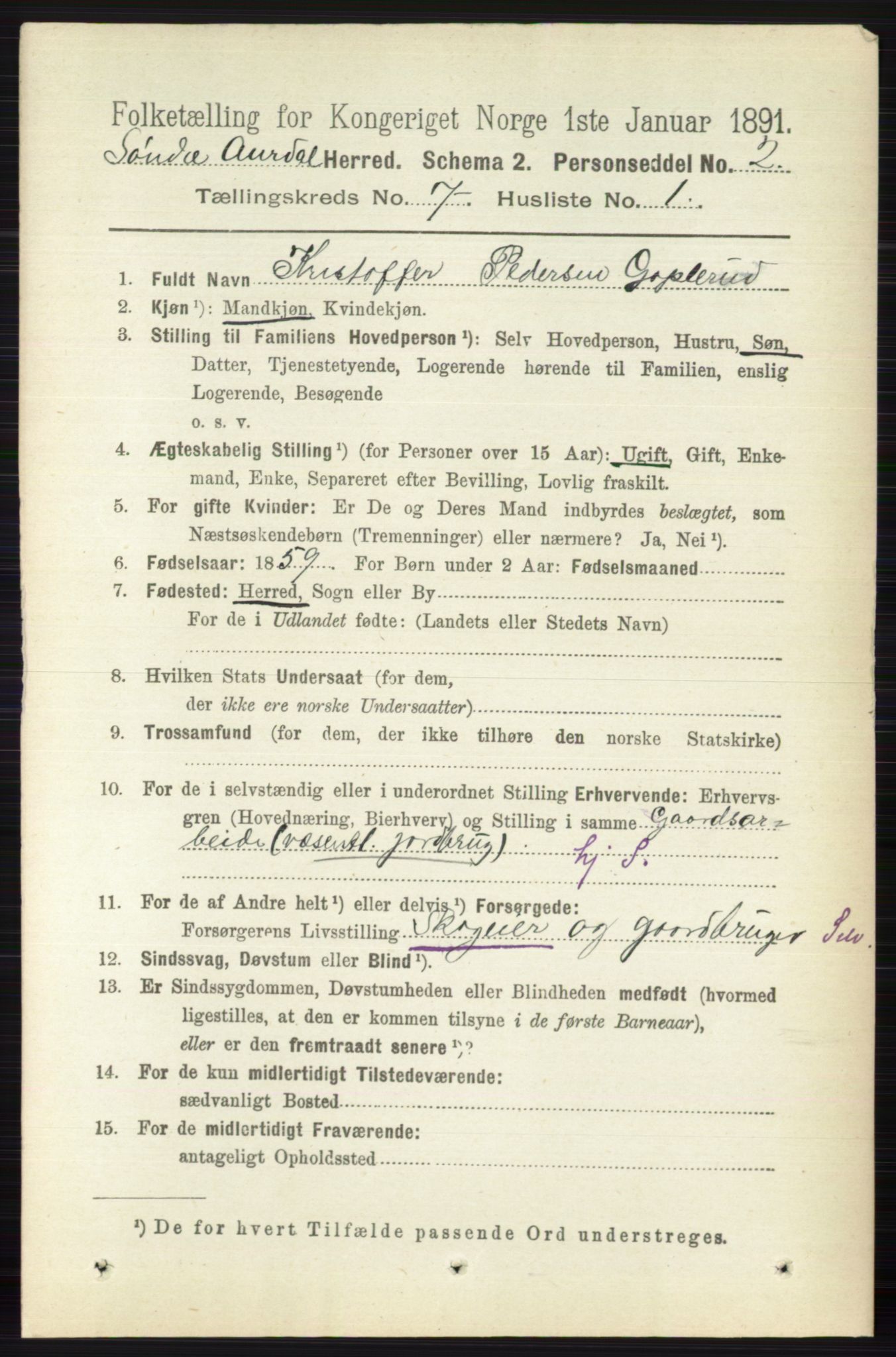 RA, 1891 census for 0540 Sør-Aurdal, 1891, p. 4399