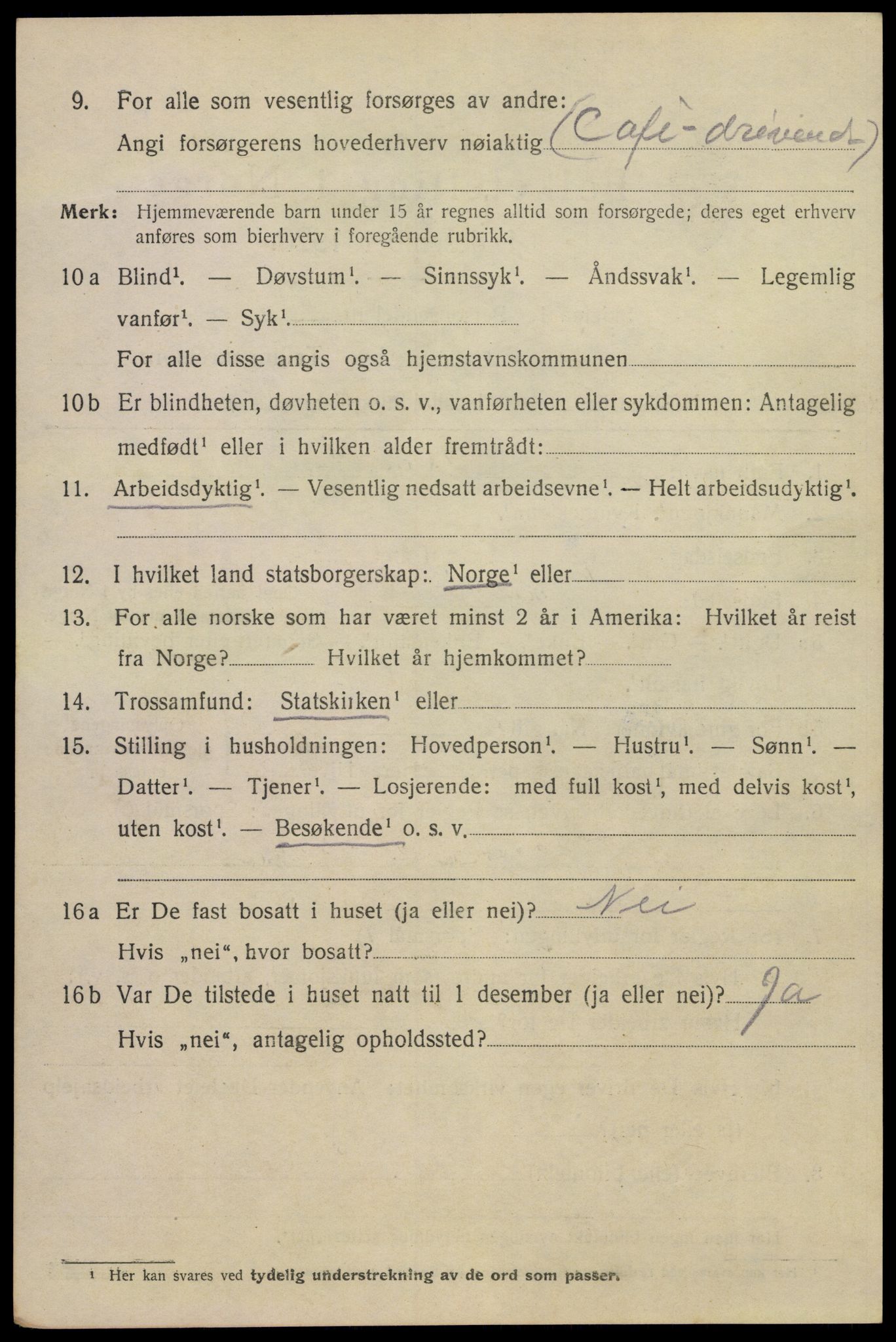 SAKO, 1920 census for Kragerø, 1920, p. 10000