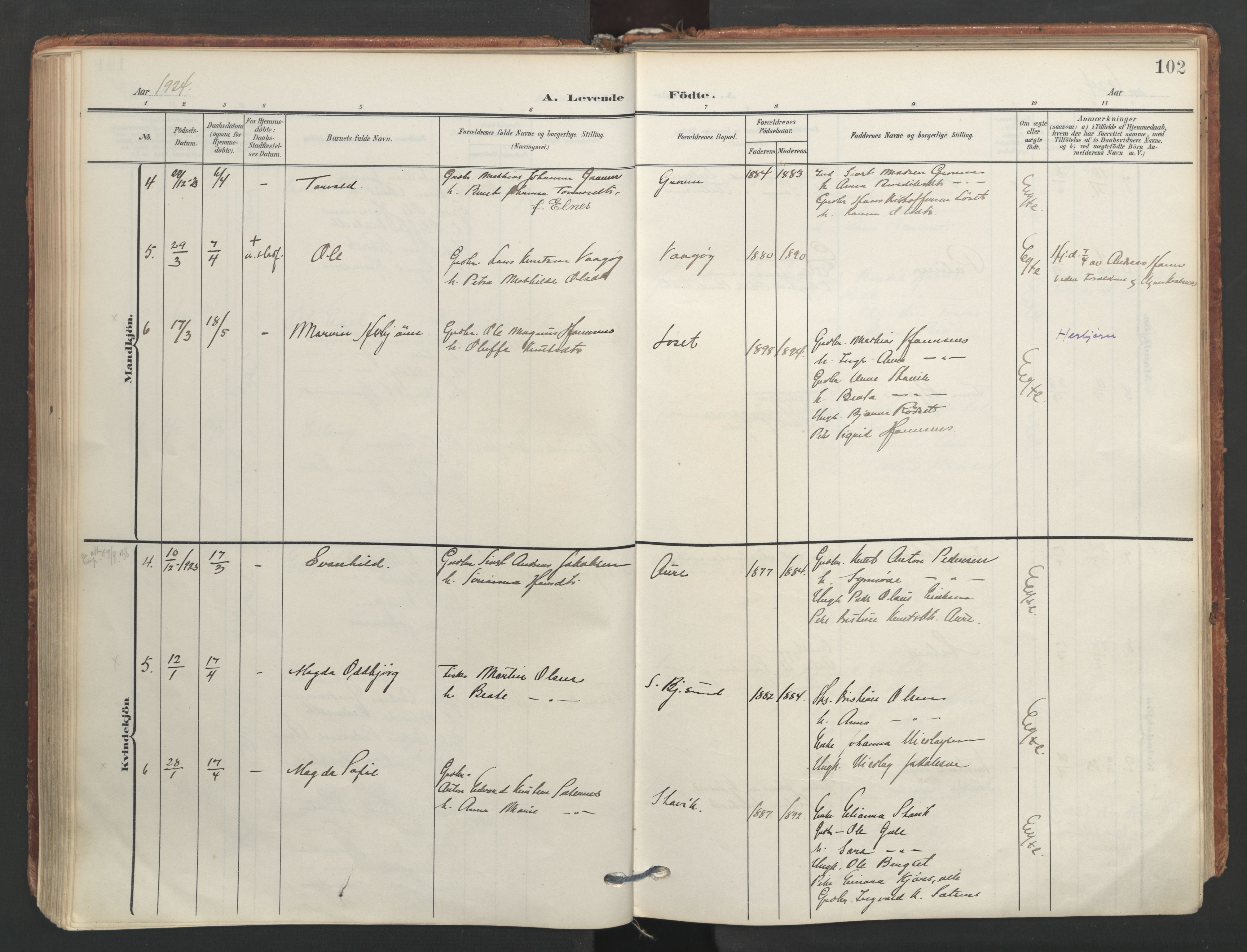 Ministerialprotokoller, klokkerbøker og fødselsregistre - Møre og Romsdal, AV/SAT-A-1454/565/L0751: Parish register (official) no. 565A05, 1905-1979, p. 102