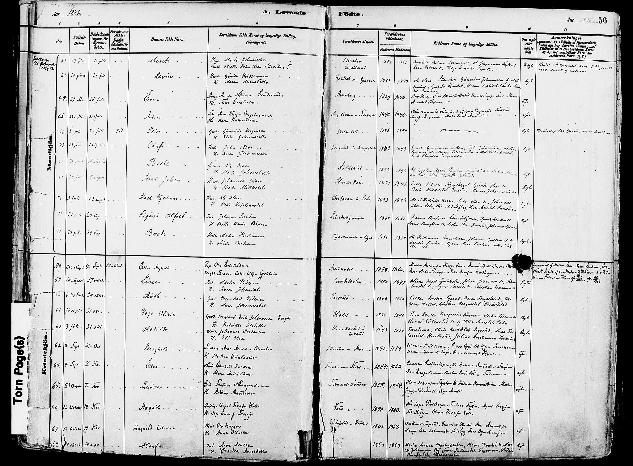 Grue prestekontor, SAH/PREST-036/H/Ha/Haa/L0012: Parish register (official) no. 12, 1881-1897, p. 56