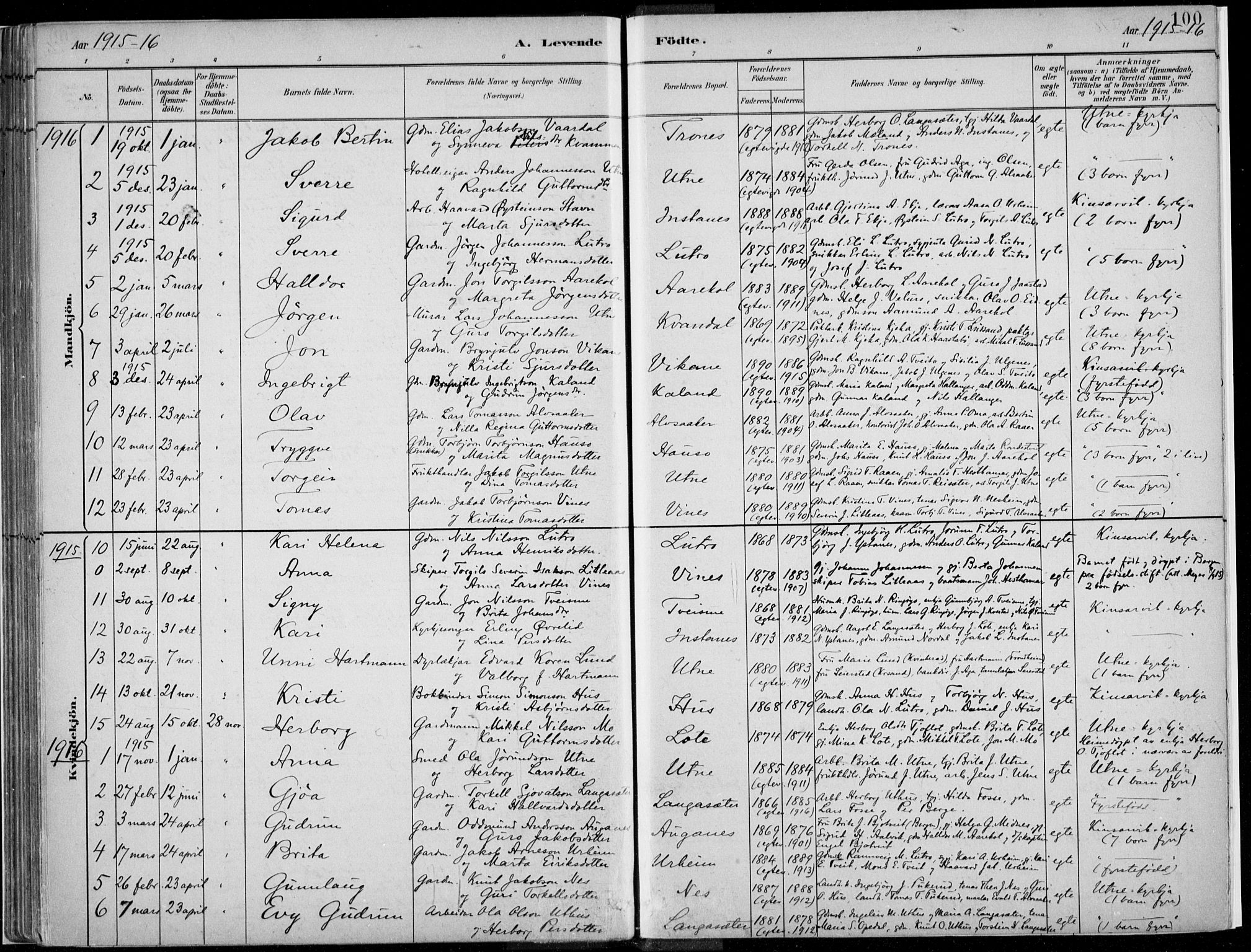 Ullensvang sokneprestembete, SAB/A-78701/H/Haa: Parish register (official) no. E  1, 1882-1921, p. 100