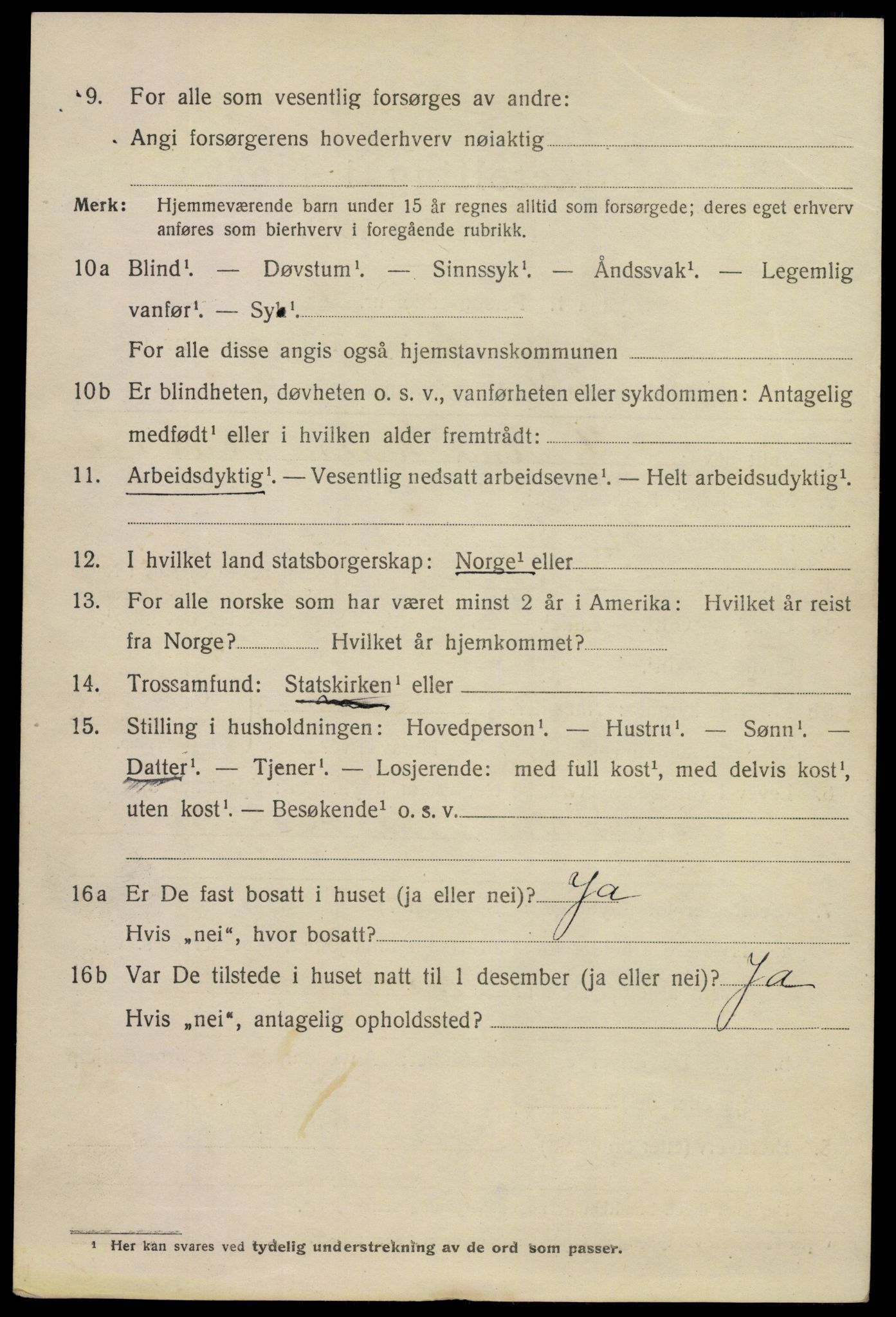 SAKO, 1920 census for Porsgrunn, 1920, p. 17356