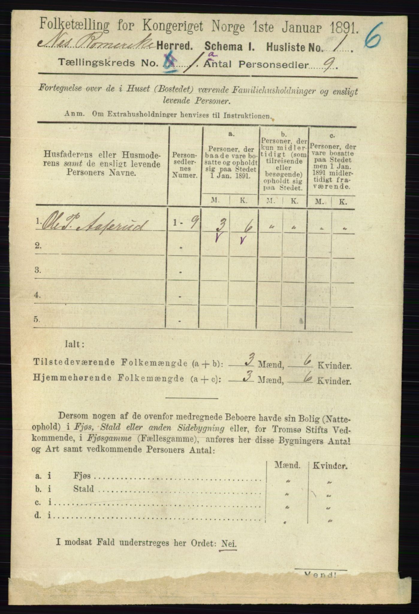 RA, 1891 census for 0236 Nes, 1891, p. 45