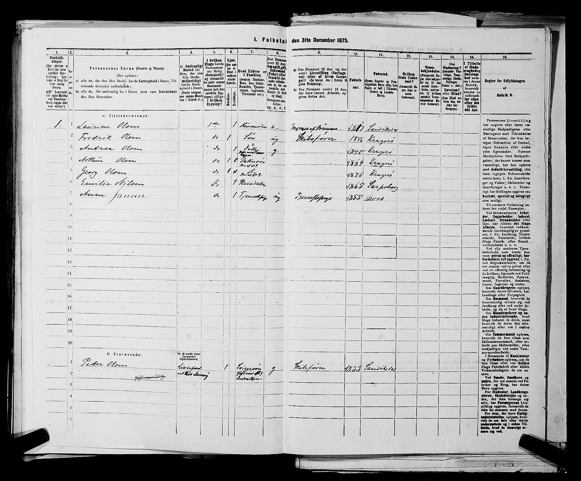 SAKO, 1875 census for 0801P Kragerø, 1875, p. 994