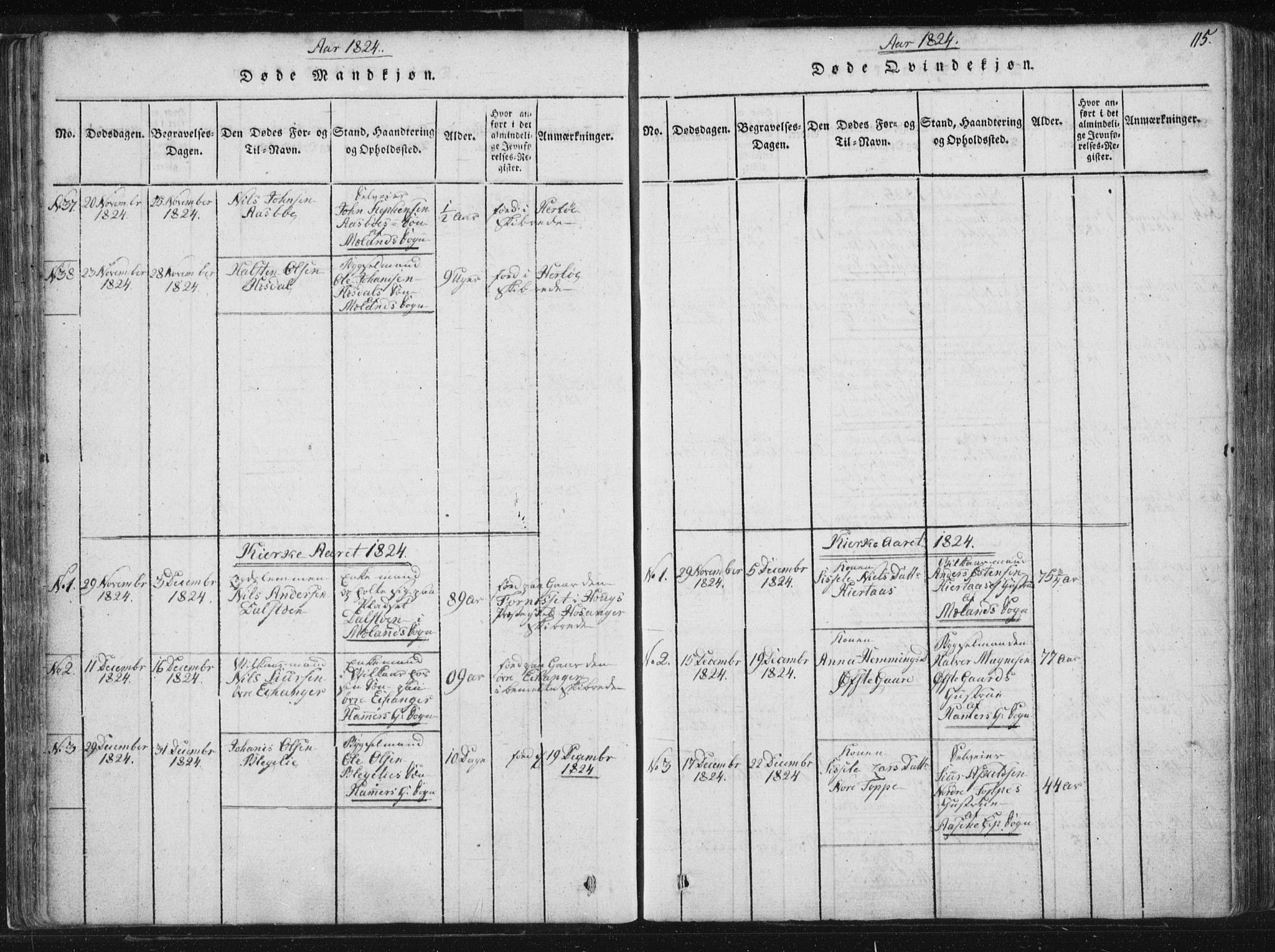 Hamre sokneprestembete, AV/SAB-A-75501/H/Ha/Haa/Haaa/L0010: Parish register (official) no. A 10, 1816-1826, p. 115