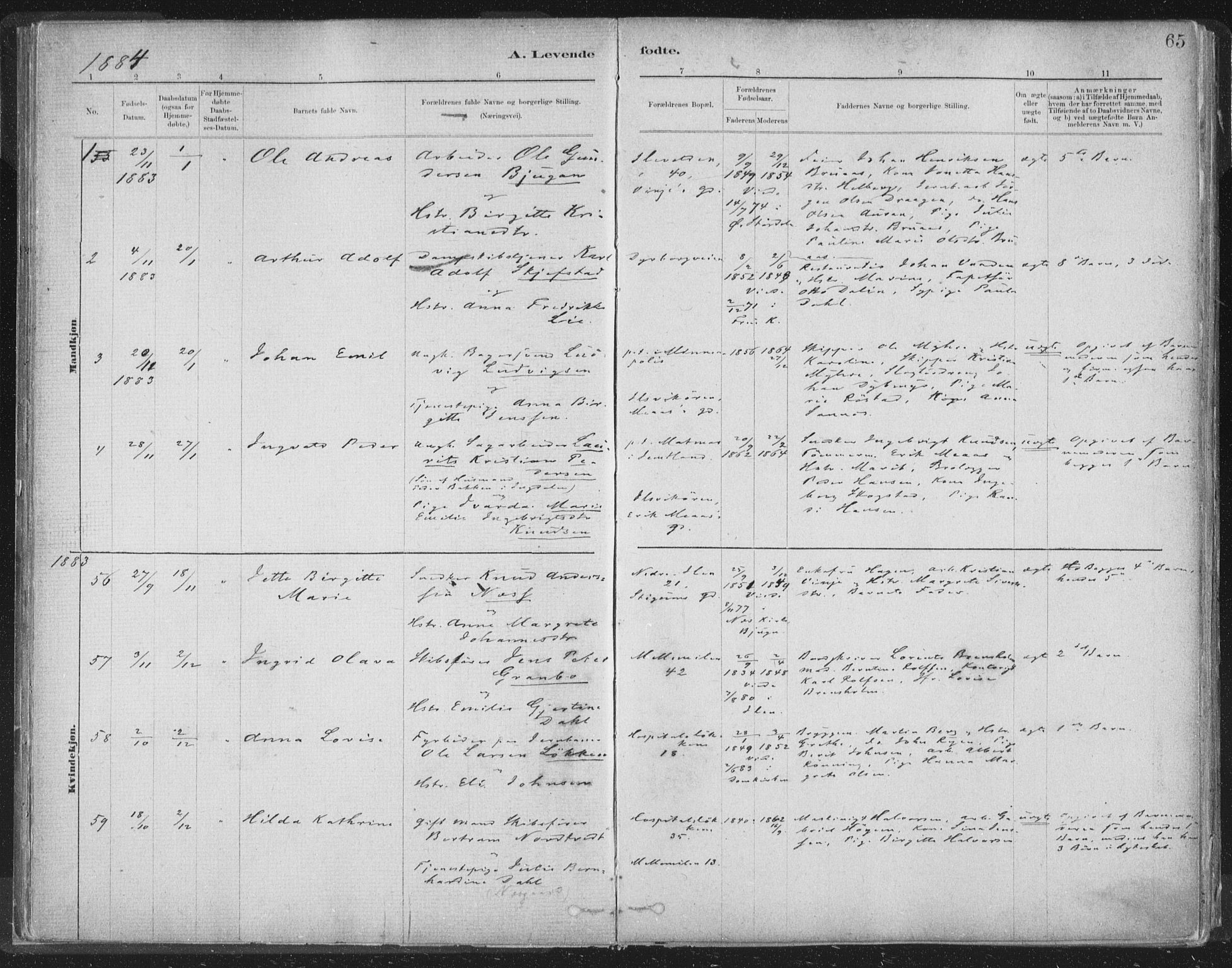 Ministerialprotokoller, klokkerbøker og fødselsregistre - Sør-Trøndelag, SAT/A-1456/603/L0162: Parish register (official) no. 603A01, 1879-1895, p. 65
