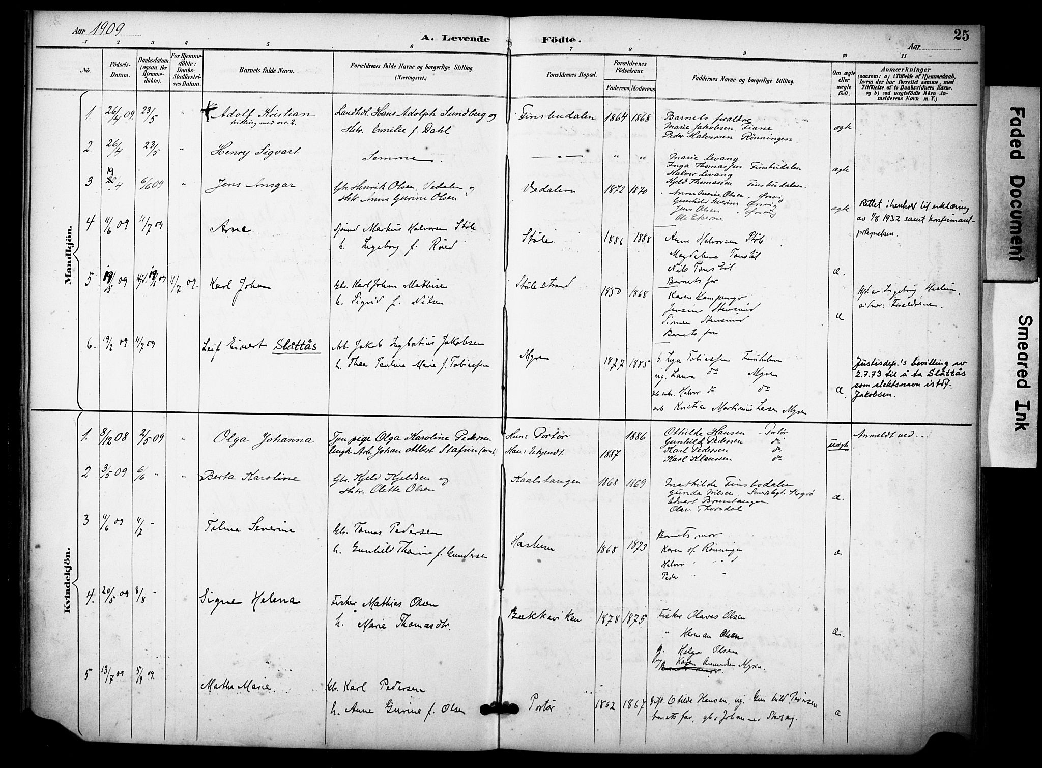 Skåtøy kirkebøker, AV/SAKO-A-304/F/Fb/L0001: Parish register (official) no. II 1, 1892-1916, p. 25