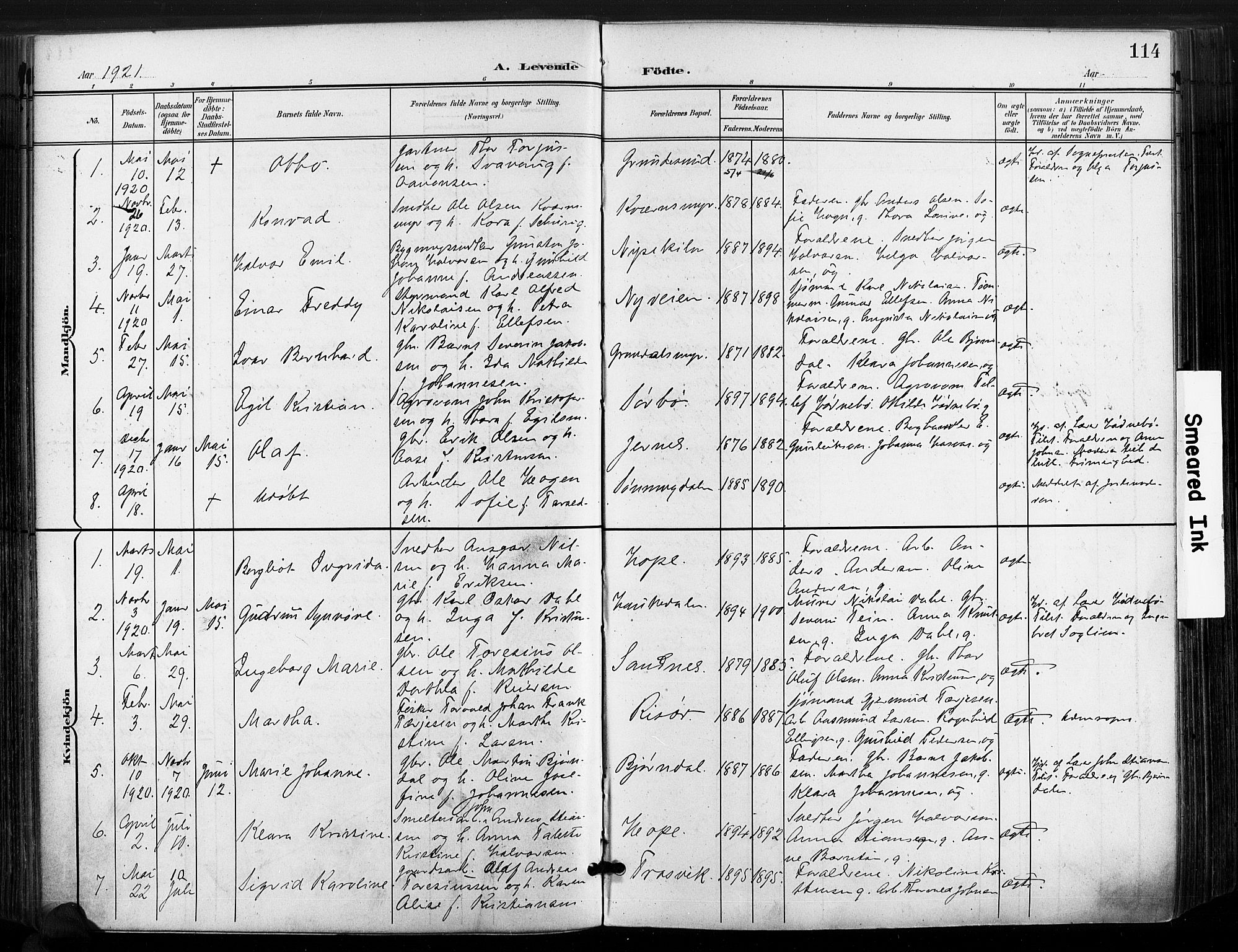 Søndeled sokneprestkontor, AV/SAK-1111-0038/F/Fa/L0006: Parish register (official) no. A 6, 1900-1922, p. 114