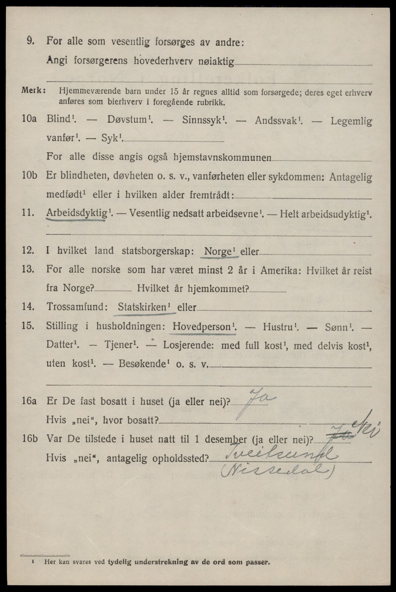 SAKO, 1920 census for Nissedal, 1920, p. 4396