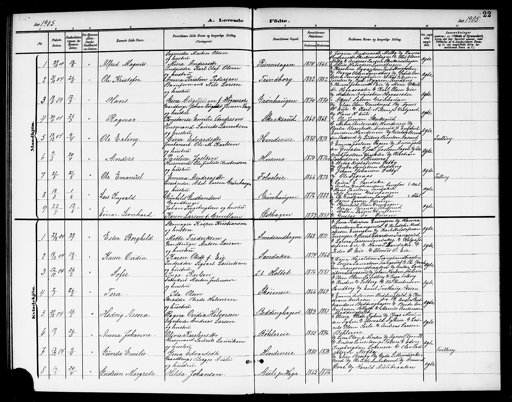 Nes prestekontor Kirkebøker, AV/SAO-A-10410/G/Gc/L0001: Parish register (copy) no. III 1, 1901-1917, p. 22