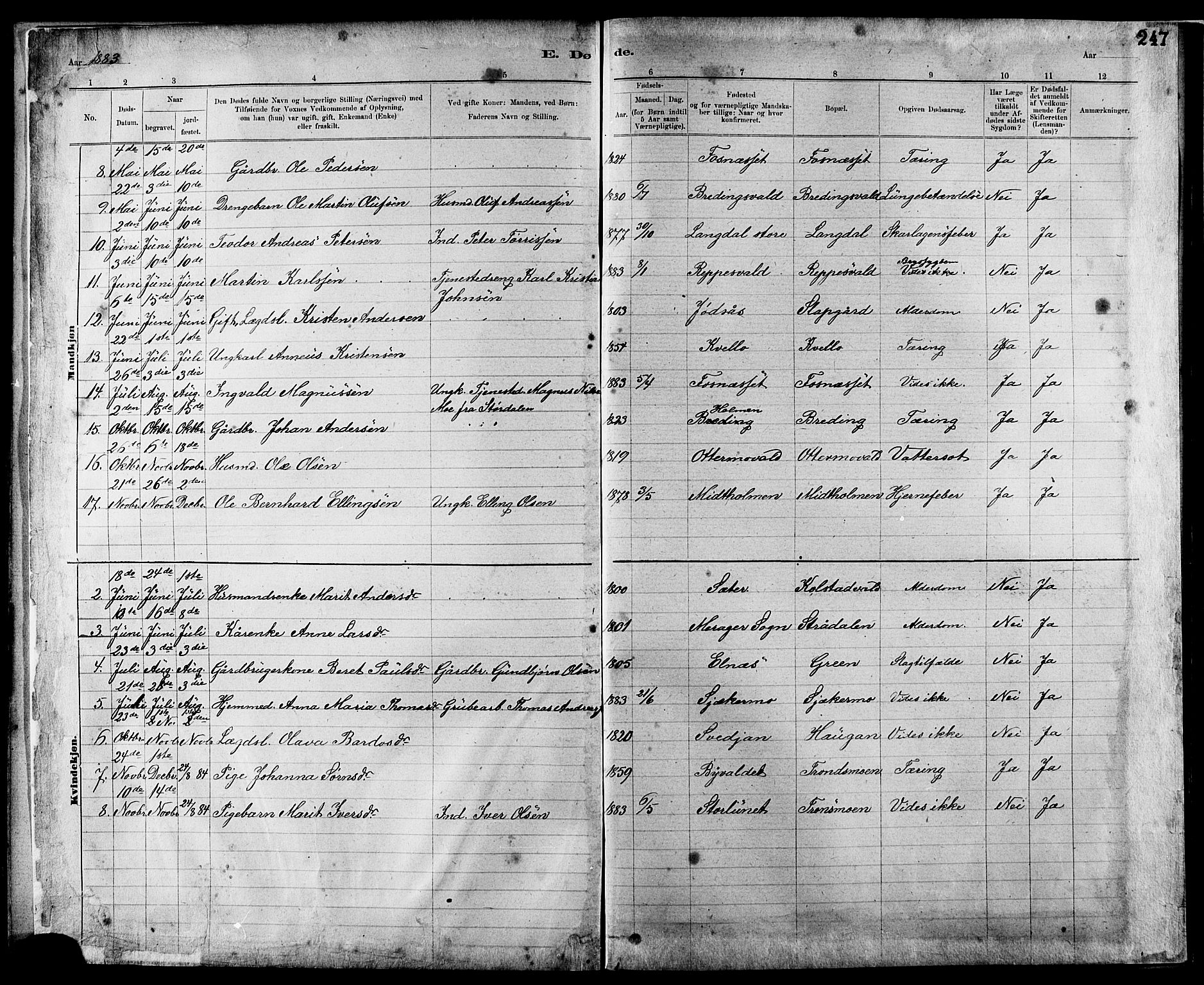 Ministerialprotokoller, klokkerbøker og fødselsregistre - Nord-Trøndelag, AV/SAT-A-1458/724/L0267: Parish register (copy) no. 724C03, 1879-1898, p. 247