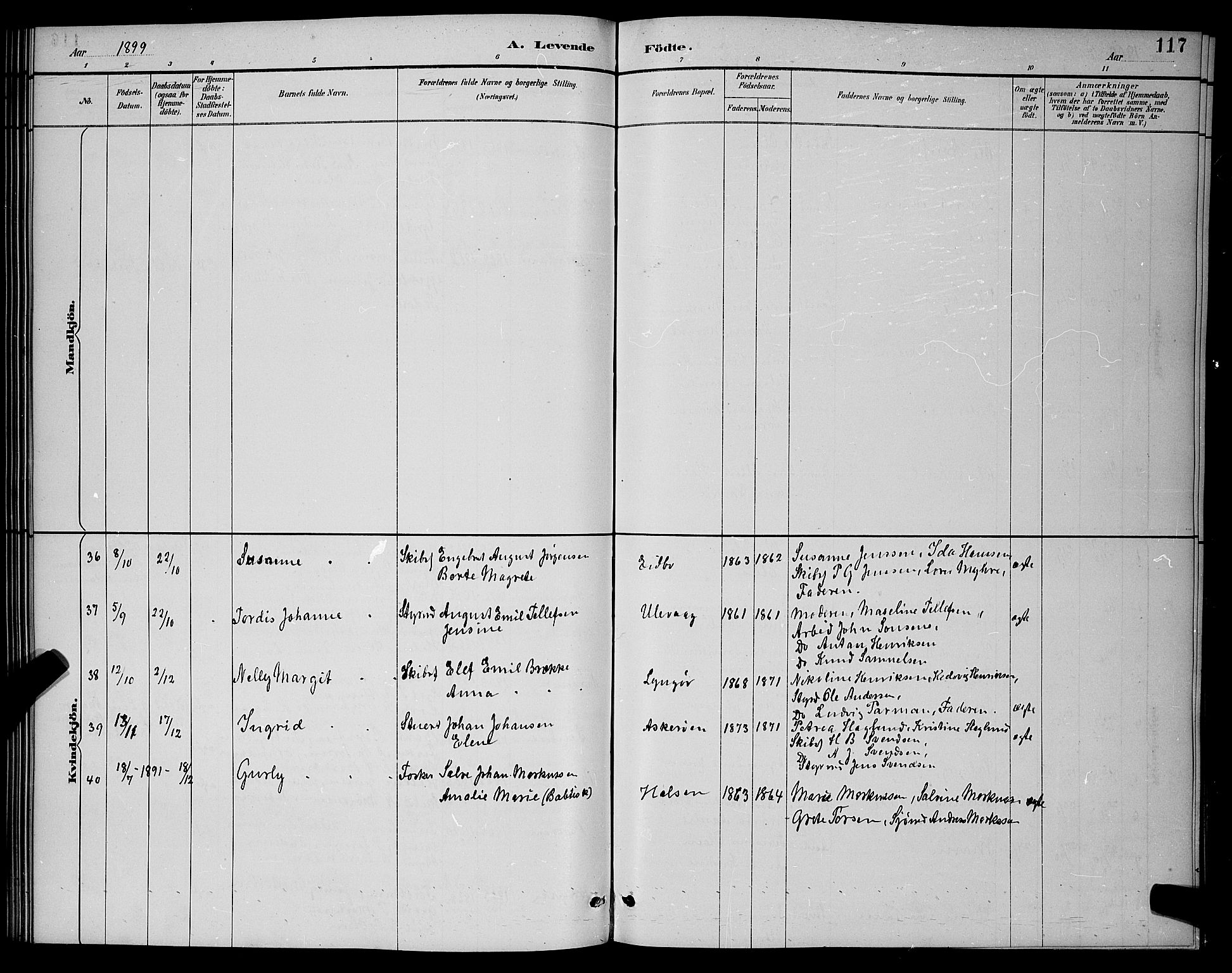 Dypvåg sokneprestkontor, AV/SAK-1111-0007/F/Fb/Fba/L0013: Parish register (copy) no. B 13, 1887-1900, p. 117