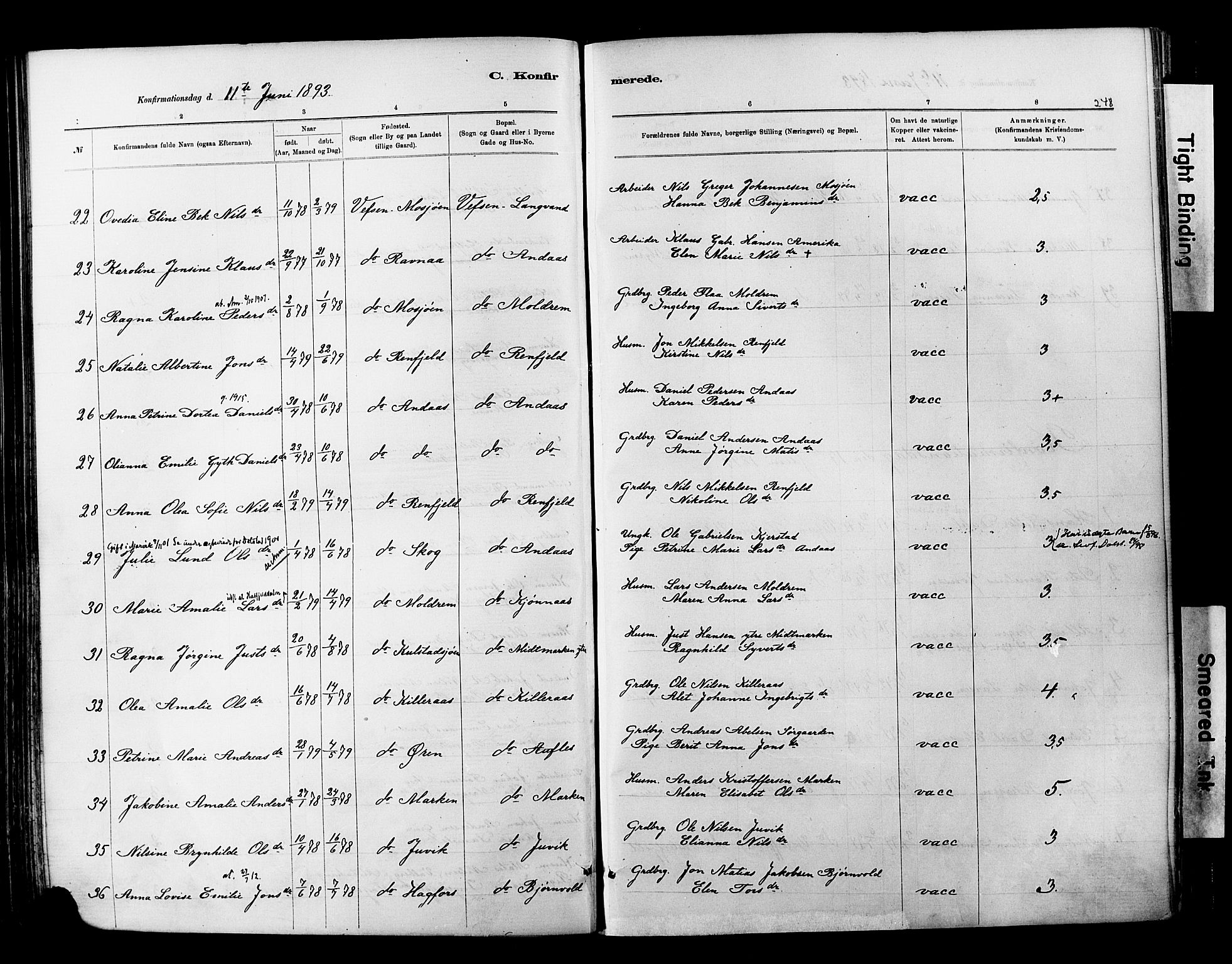 Ministerialprotokoller, klokkerbøker og fødselsregistre - Nordland, AV/SAT-A-1459/820/L0295: Parish register (official) no. 820A16, 1880-1896, p. 248