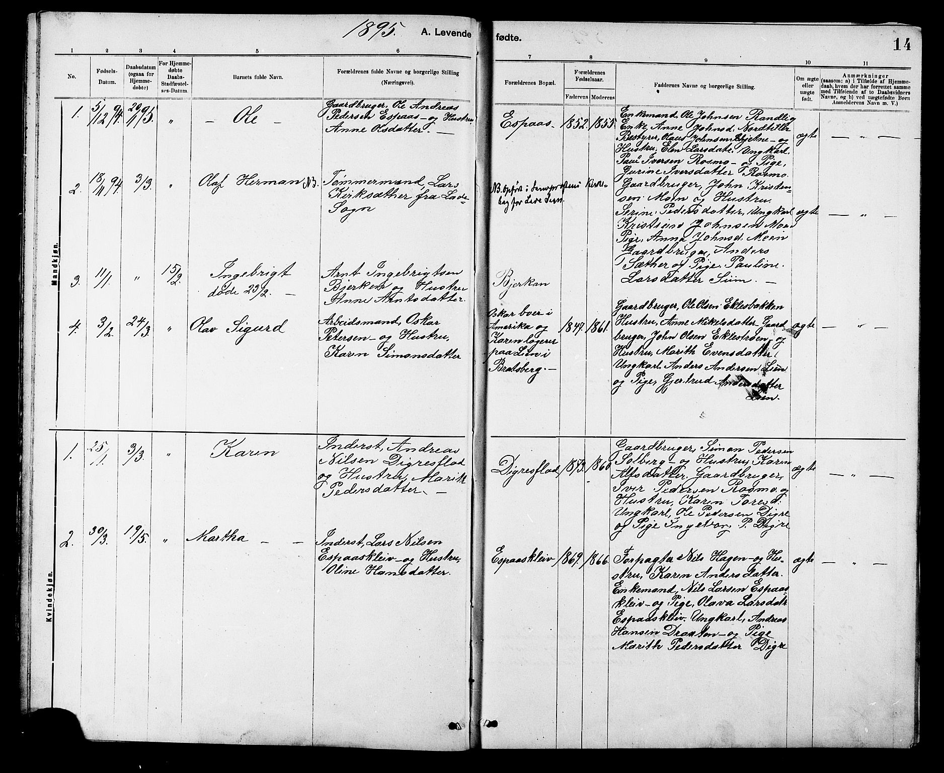 Ministerialprotokoller, klokkerbøker og fødselsregistre - Sør-Trøndelag, AV/SAT-A-1456/608/L0341: Parish register (copy) no. 608C07, 1890-1912, p. 14