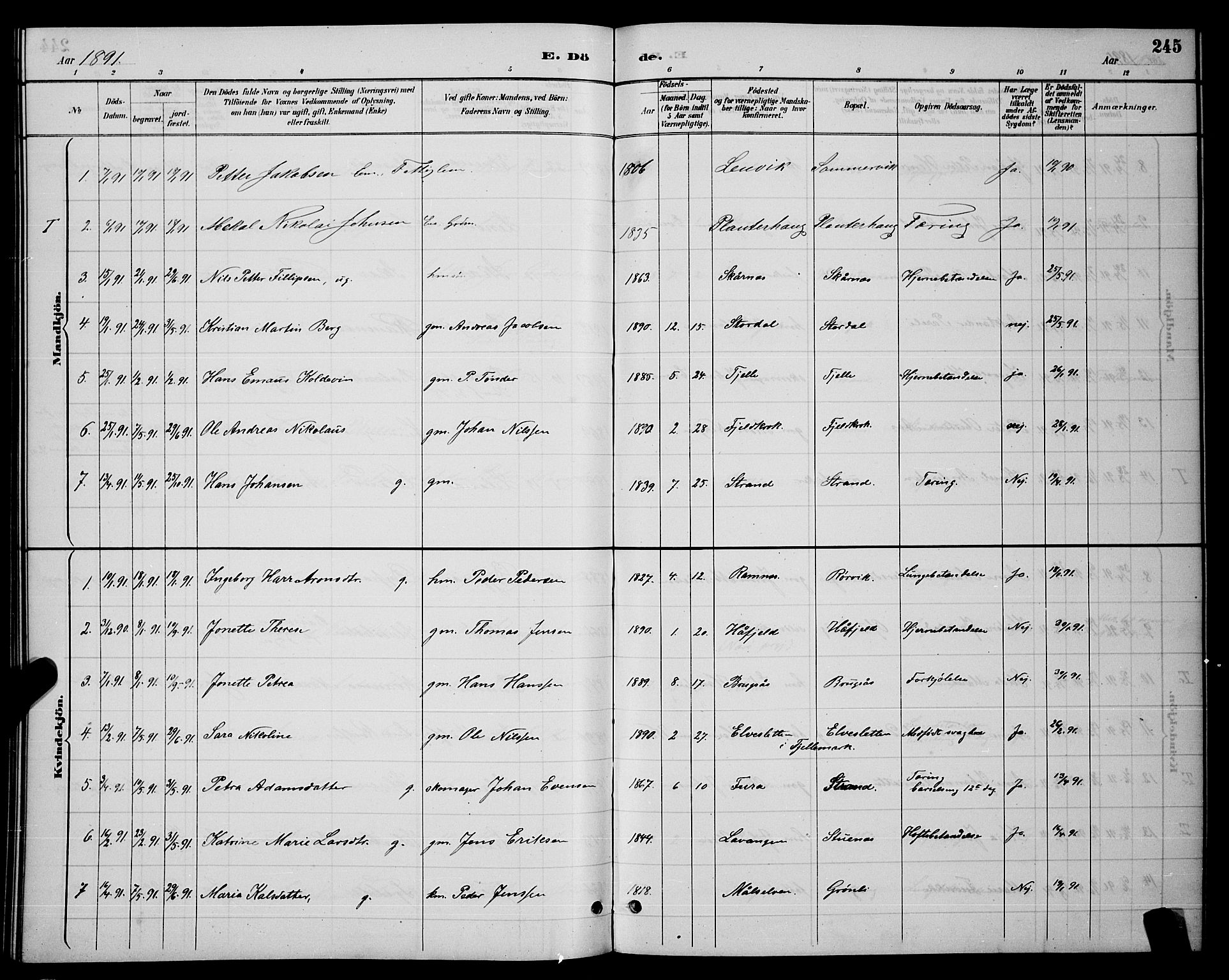 Ministerialprotokoller, klokkerbøker og fødselsregistre - Nordland, SAT/A-1459/863/L0914: Parish register (copy) no. 863C04, 1886-1897, p. 245
