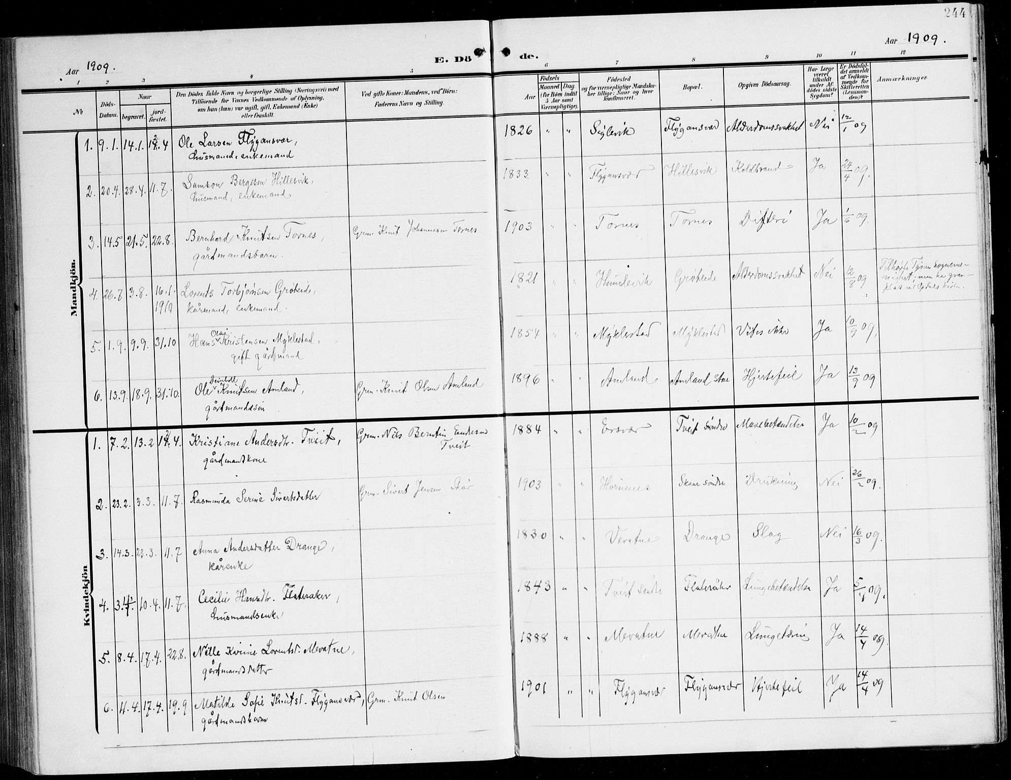 Tysnes sokneprestembete, AV/SAB-A-78601/H/Haa: Parish register (official) no. D 2, 1905-1922, p. 244