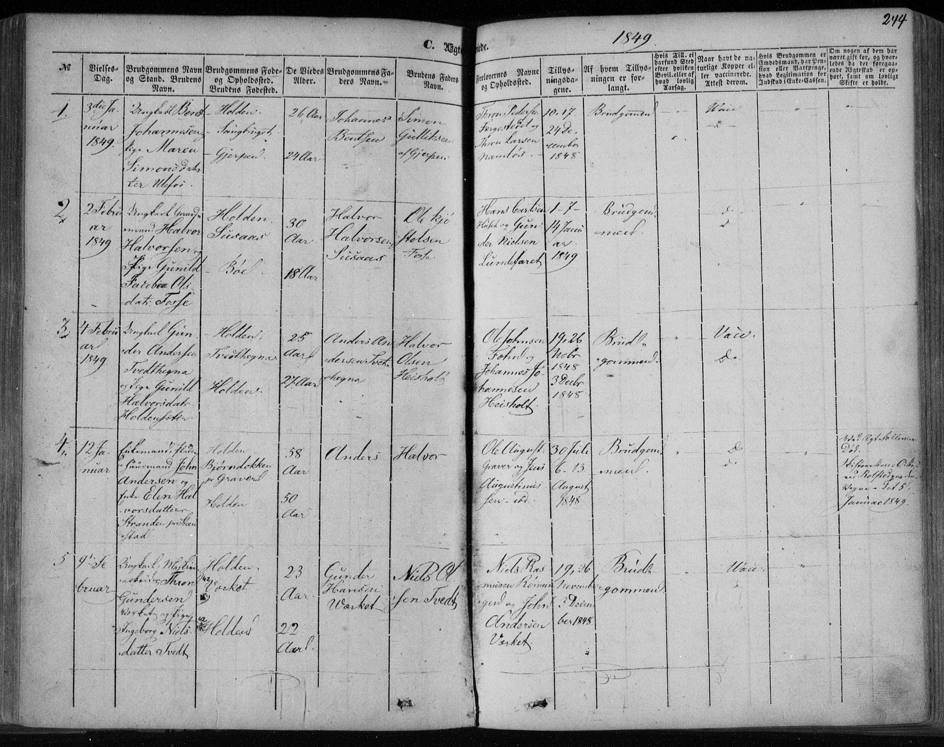 Holla kirkebøker, SAKO/A-272/F/Fa/L0005: Parish register (official) no. 5, 1849-1860, p. 244