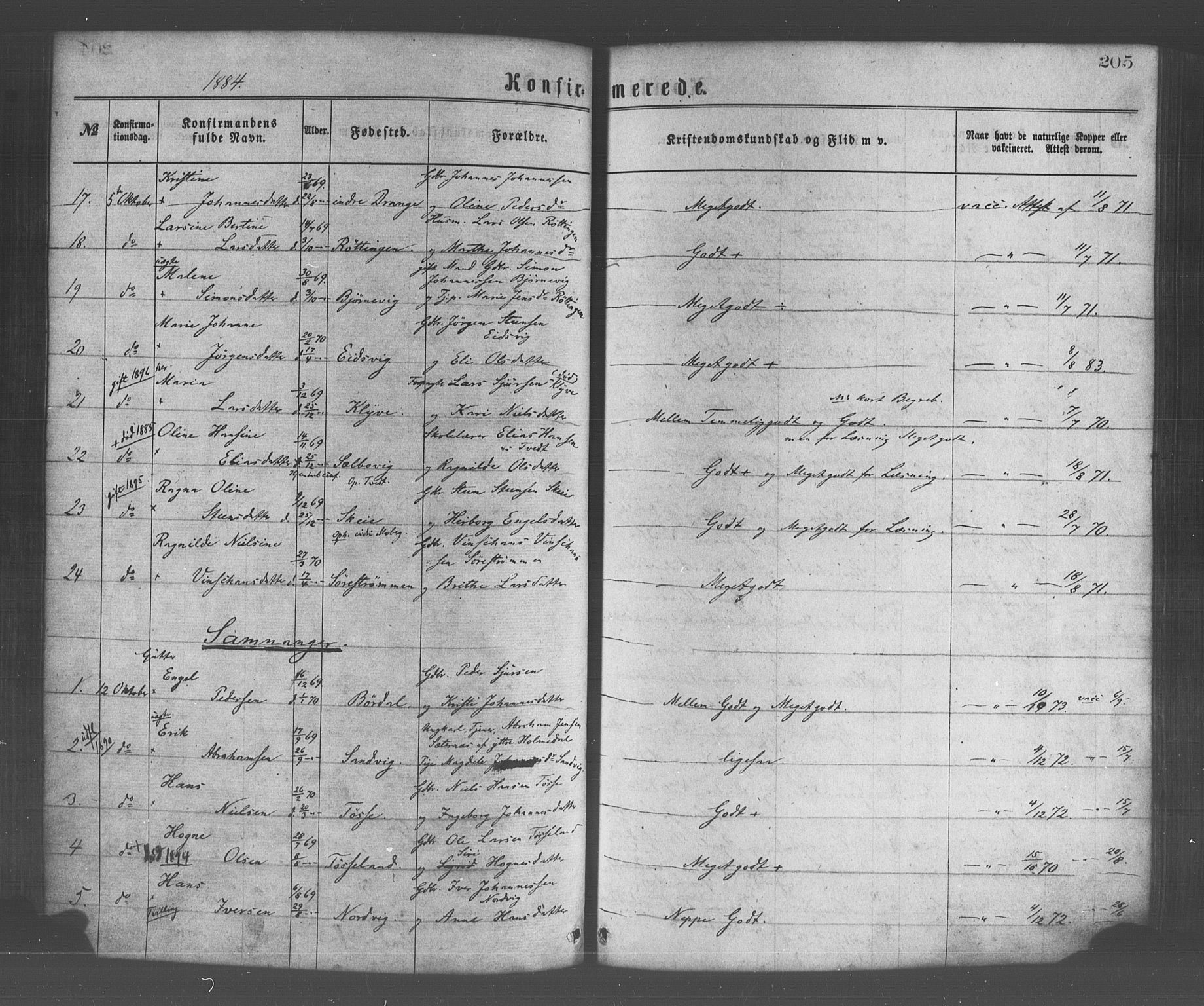 Os sokneprestembete, AV/SAB-A-99929: Parish register (official) no. A 18, 1874-1884, p. 205