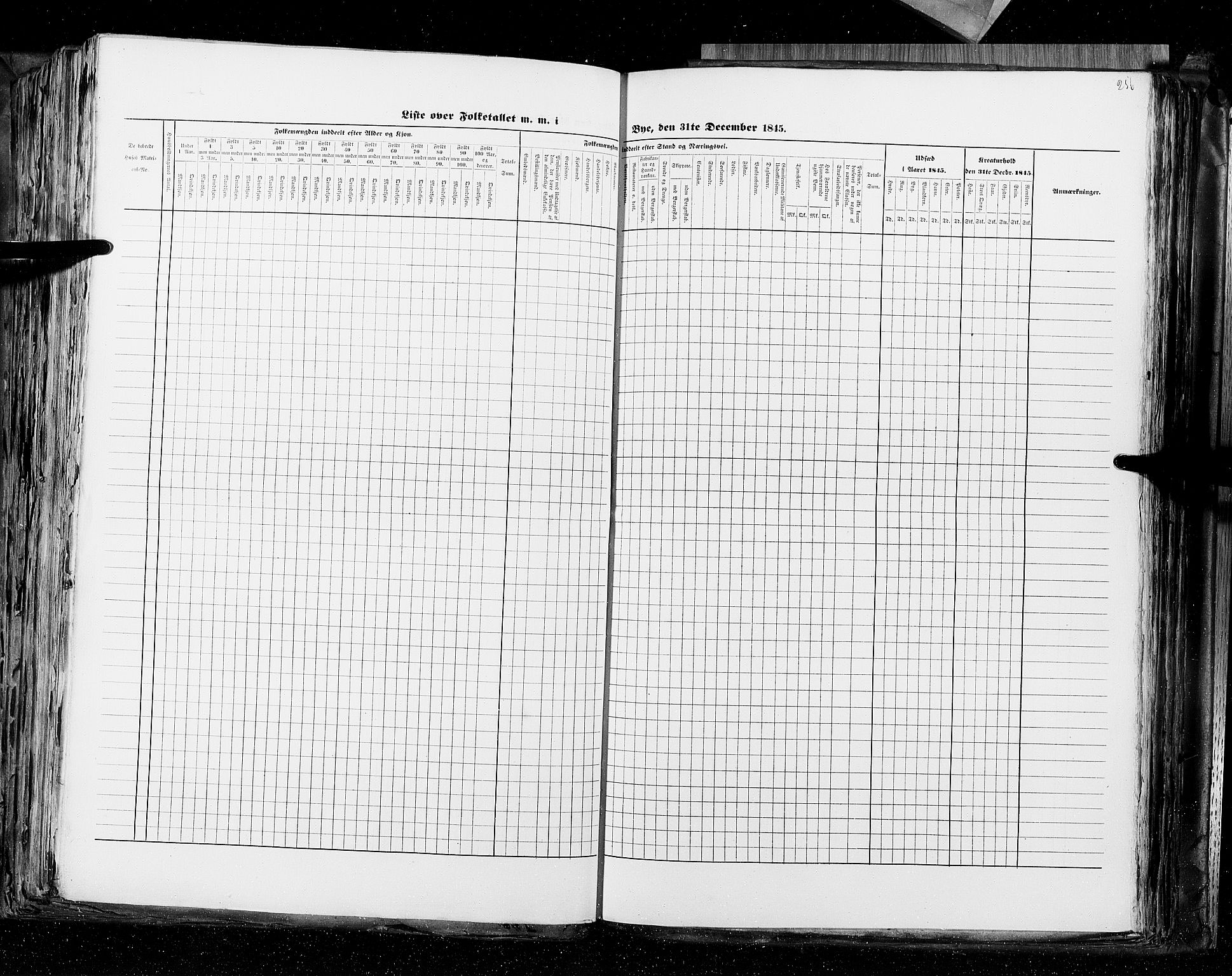 RA, Census 1845, vol. 10: Cities, 1845, p. 256