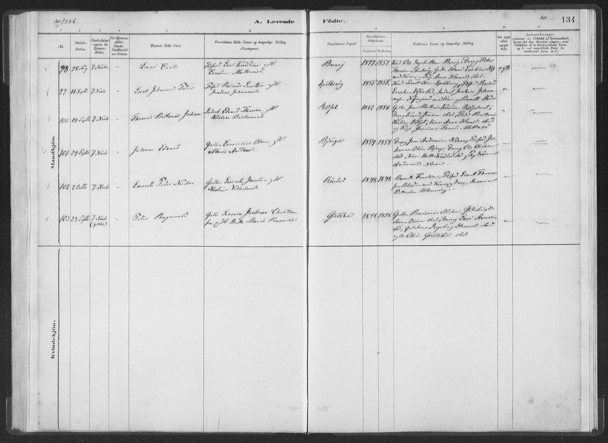 Ministerialprotokoller, klokkerbøker og fødselsregistre - Møre og Romsdal, AV/SAT-A-1454/528/L0401: Parish register (official) no. 528A12I, 1880-1920, p. 134