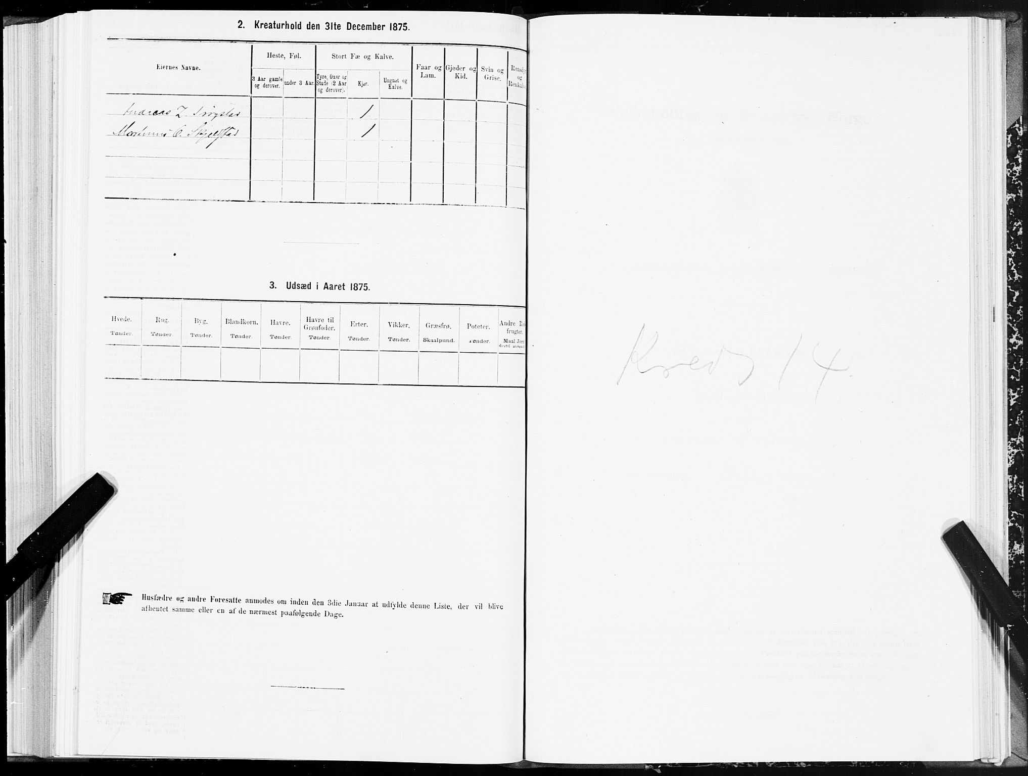 SAT, 1875 census for 1702B Steinkjer/Steinkjer, 1875