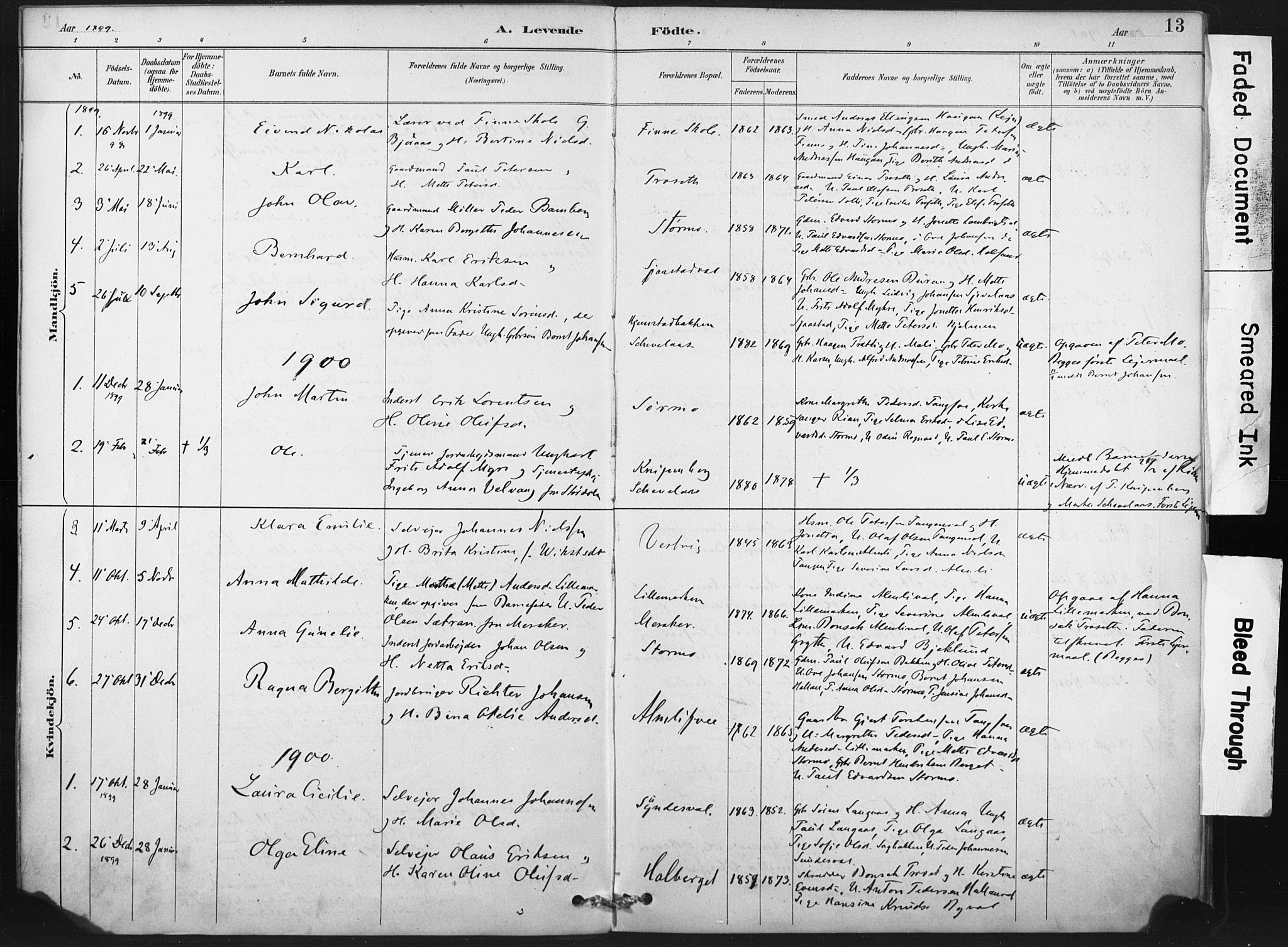 Ministerialprotokoller, klokkerbøker og fødselsregistre - Nord-Trøndelag, AV/SAT-A-1458/718/L0175: Parish register (official) no. 718A01, 1890-1923, p. 13