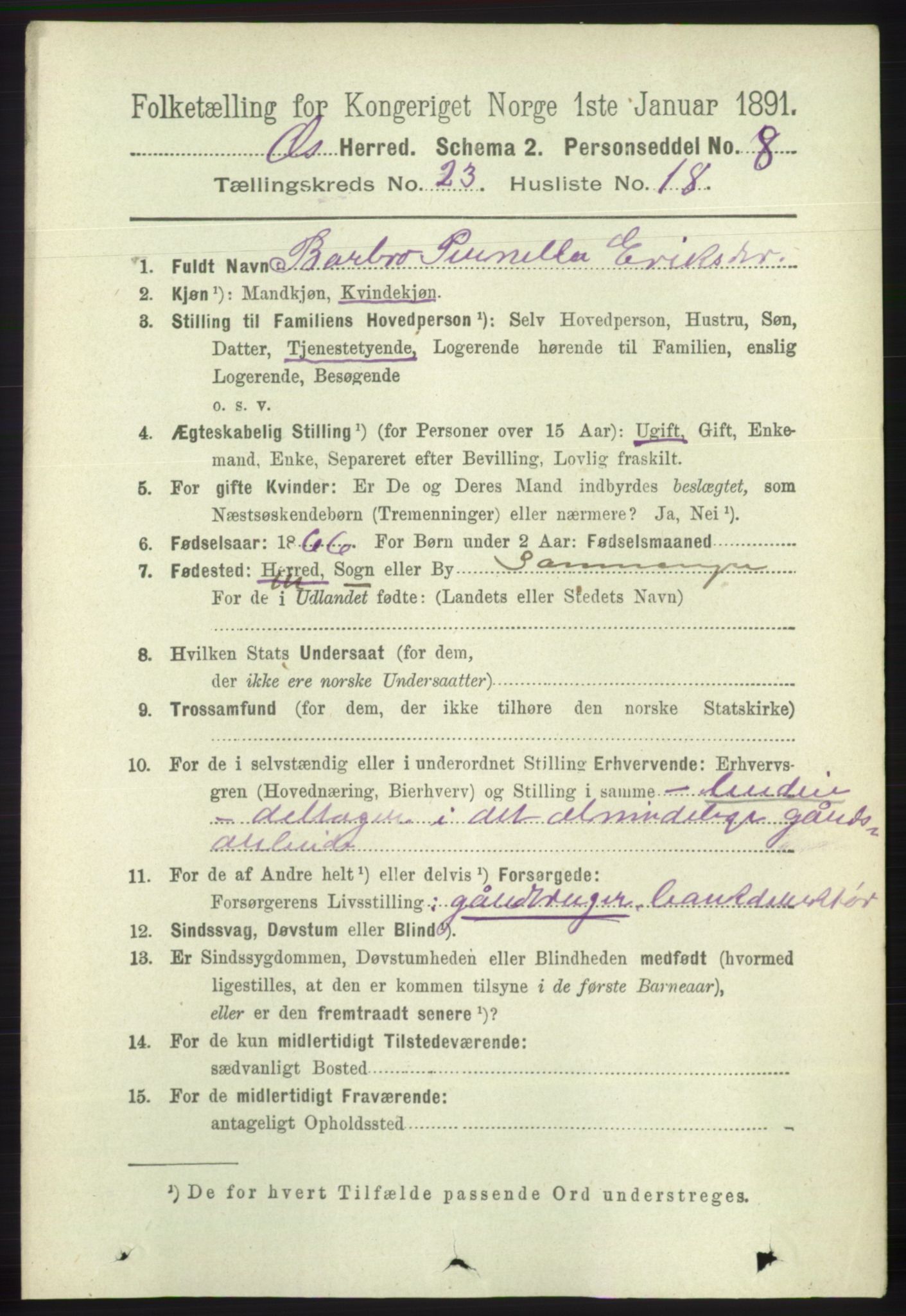 RA, 1891 census for 1243 Os, 1891, p. 5182