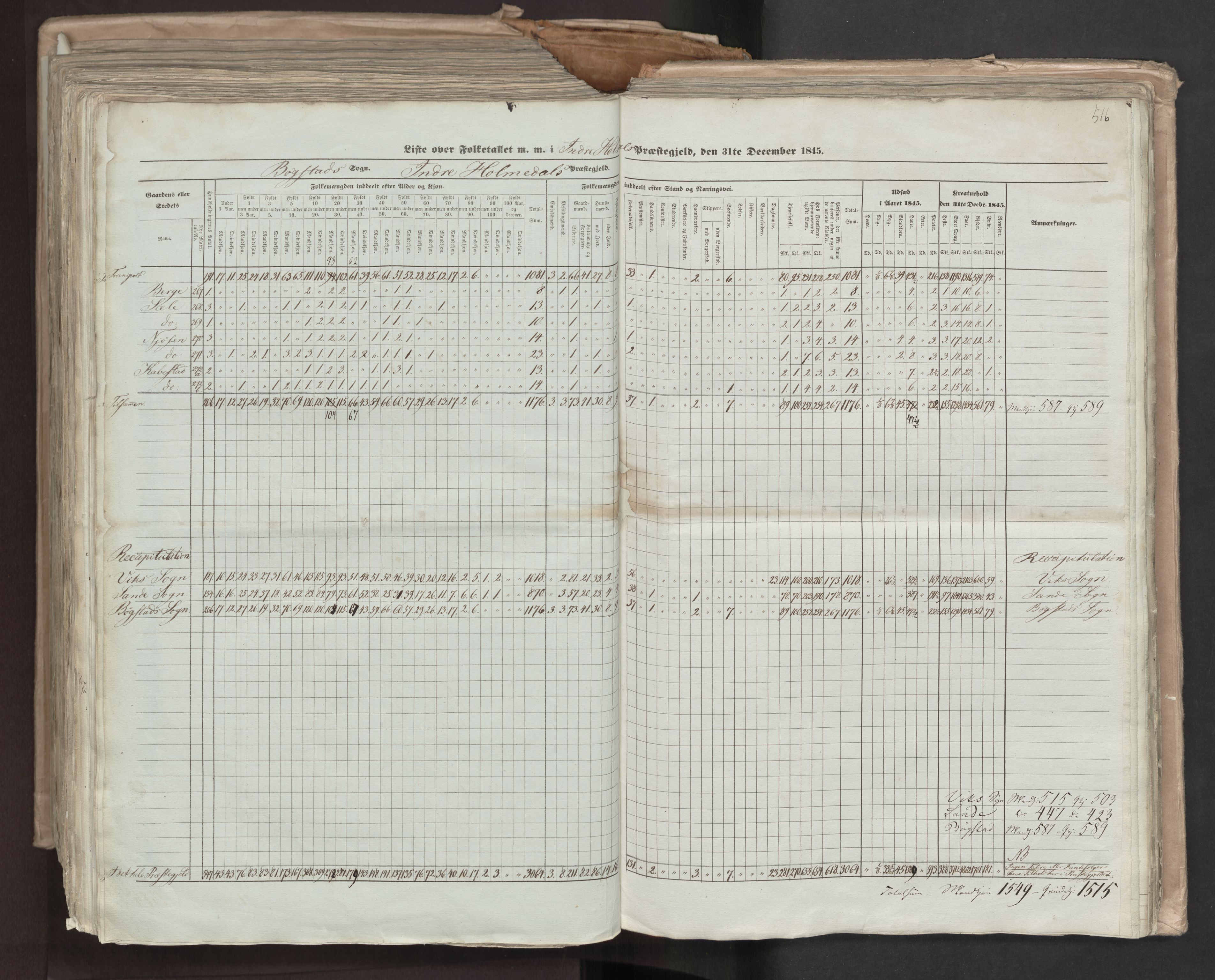 RA, Census 1845, vol. 7: Søndre Bergenhus amt og Nordre Bergenhus amt, 1845, p. 516