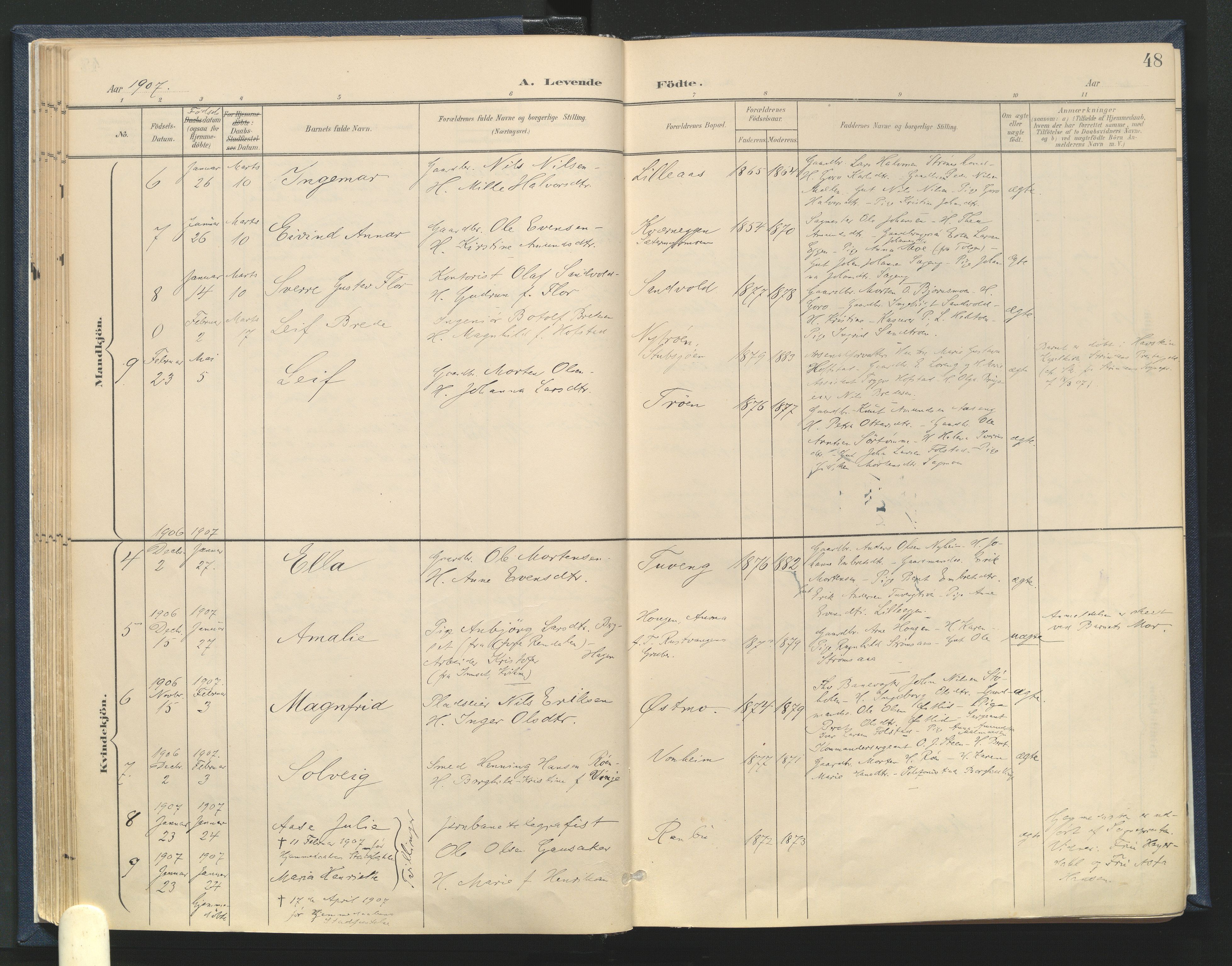 Tynset prestekontor, AV/SAH-PREST-058/H/Ha/Haa/L0025: Parish register (official) no. 25, 1900-1914, p. 48