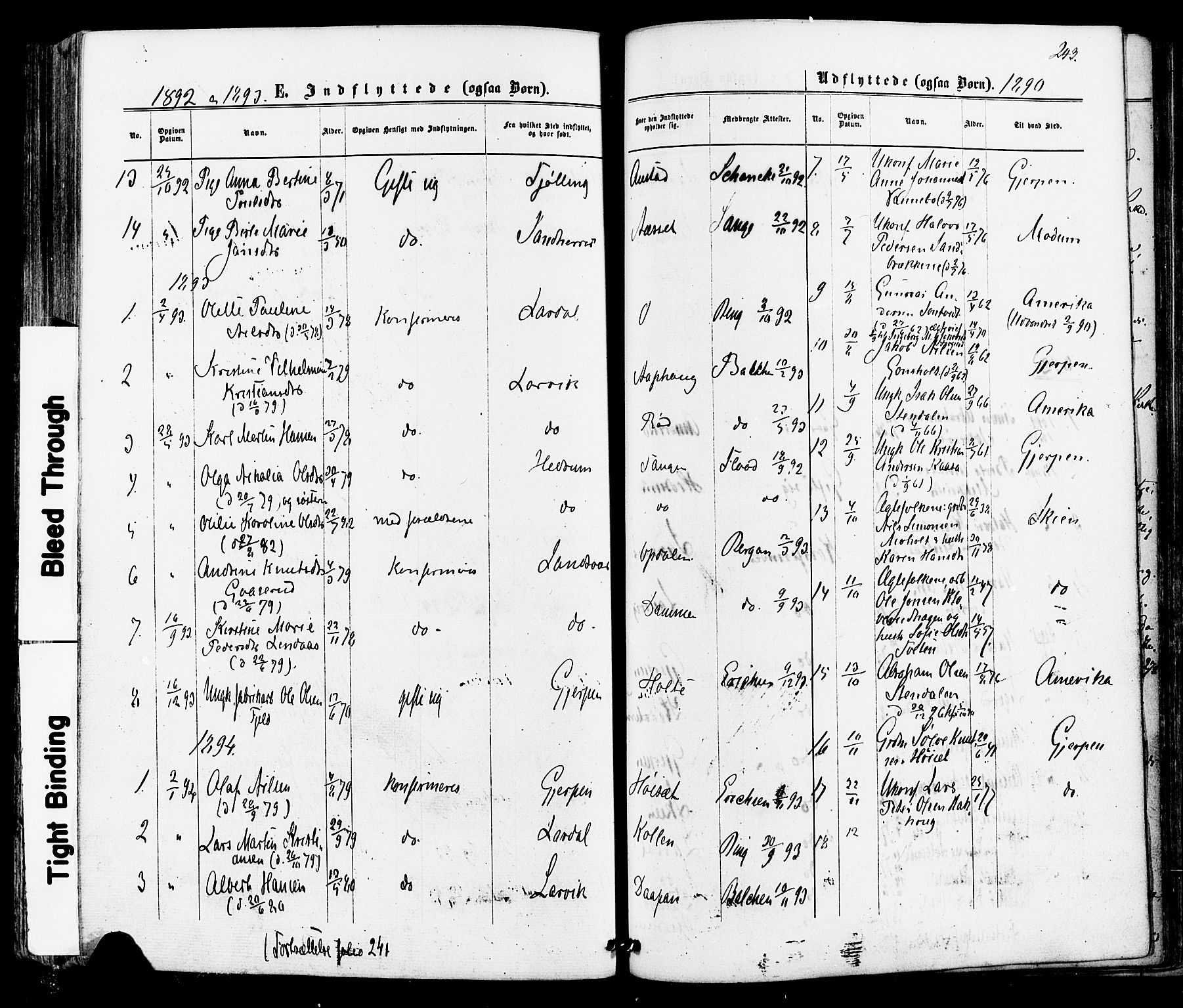 Siljan kirkebøker, SAKO/A-300/F/Fa/L0002: Parish register (official) no. 2, 1870-1895, p. 243