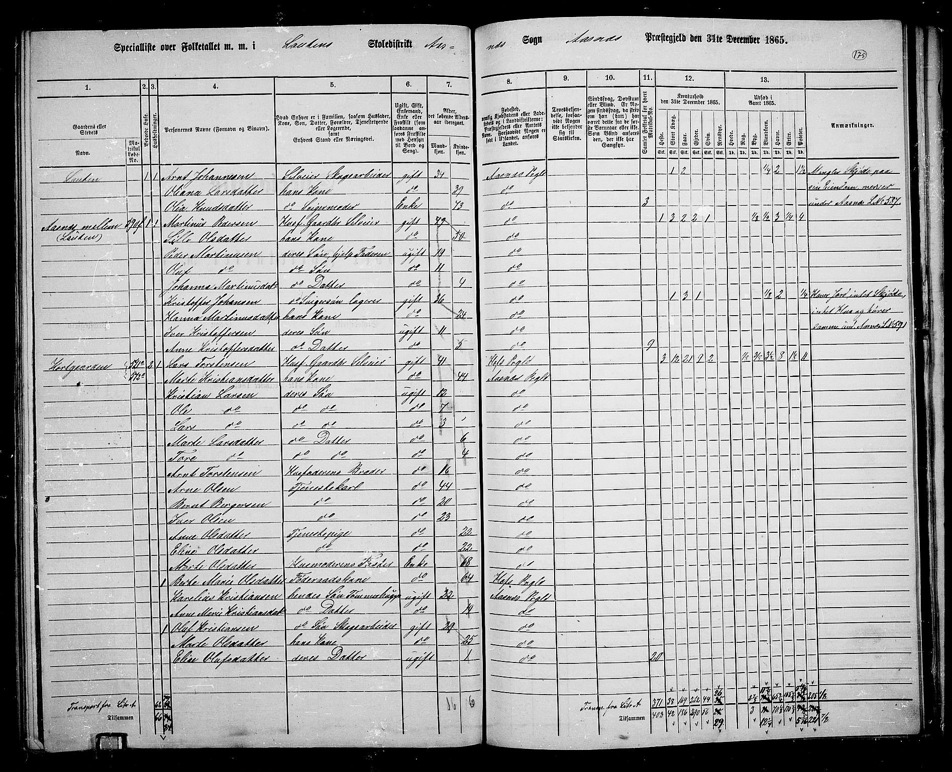 RA, 1865 census for Åsnes, 1865, p. 163