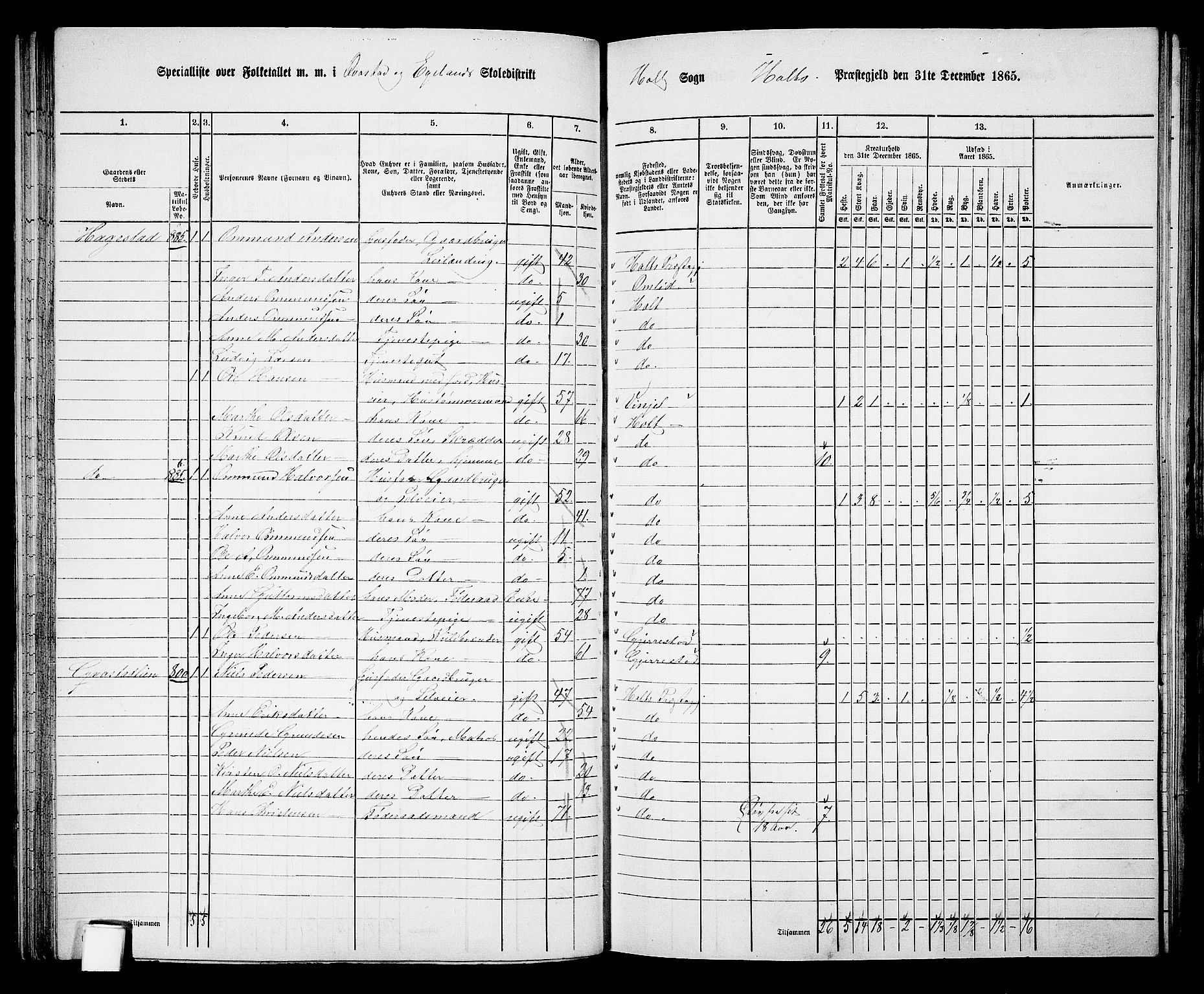 RA, 1865 census for Holt/Holt, 1865, p. 67