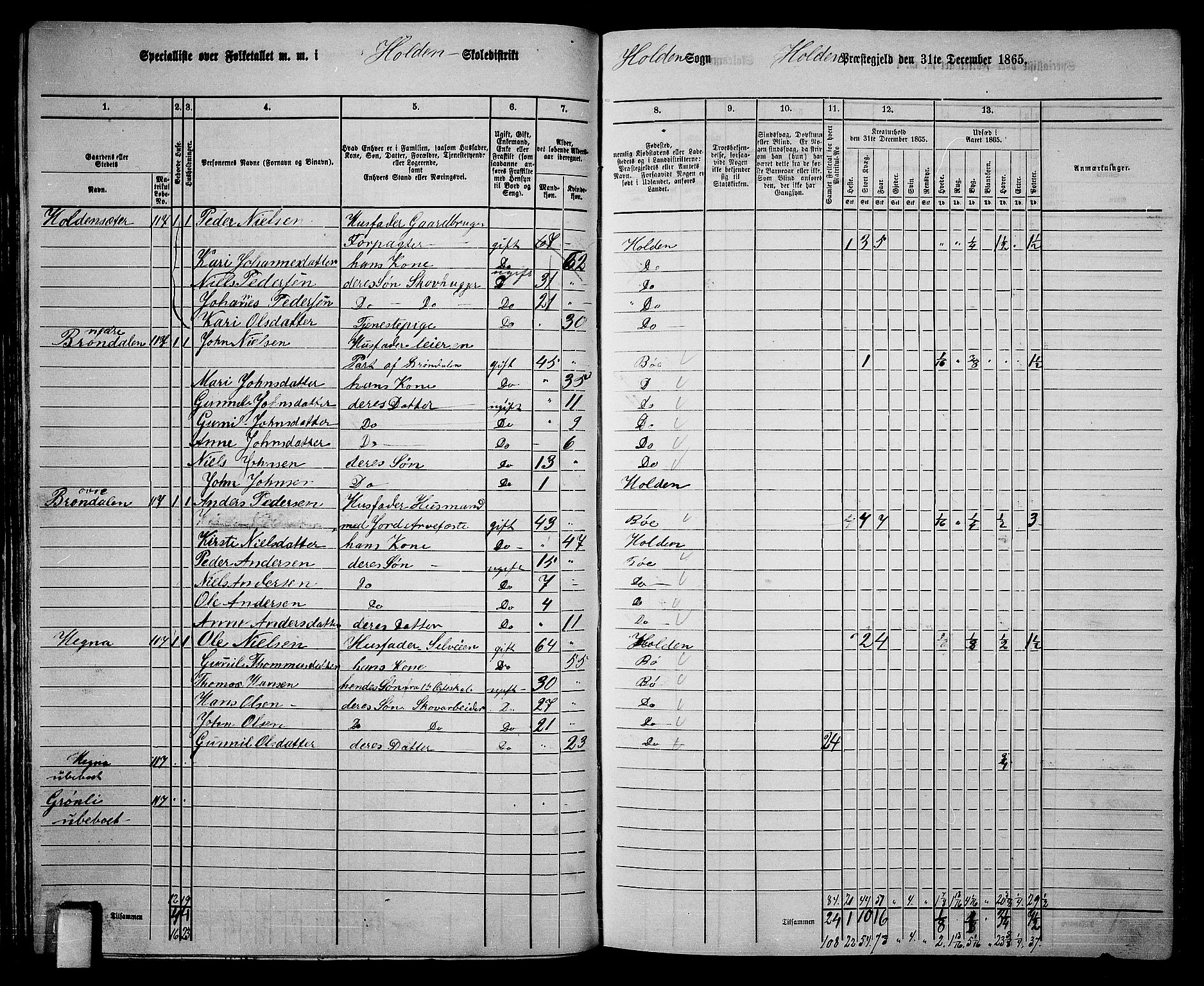 RA, 1865 census for Holla, 1865, p. 45