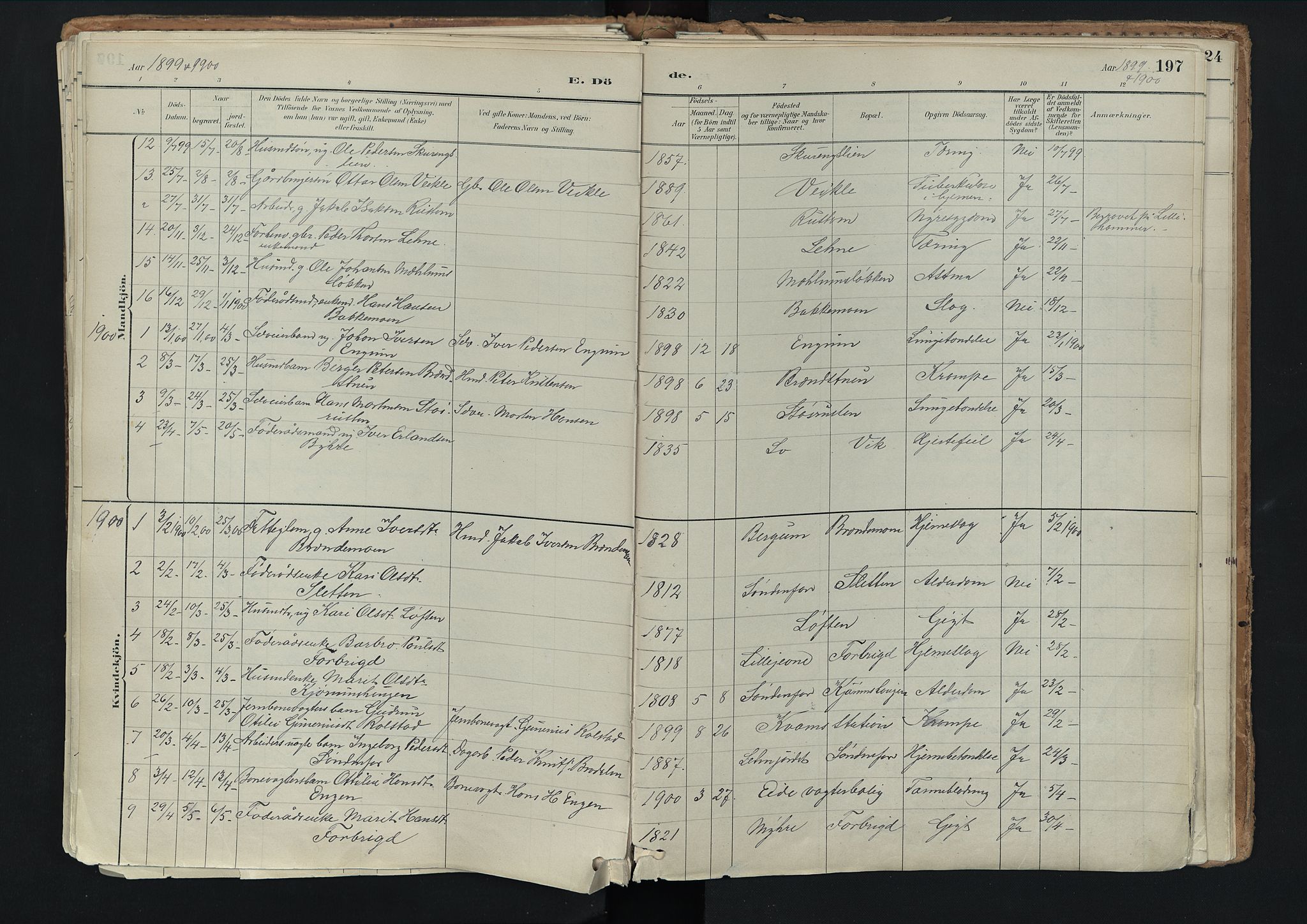 Nord-Fron prestekontor, SAH/PREST-080/H/Ha/Haa/L0003: Parish register (official) no. 3, 1884-1914, p. 197