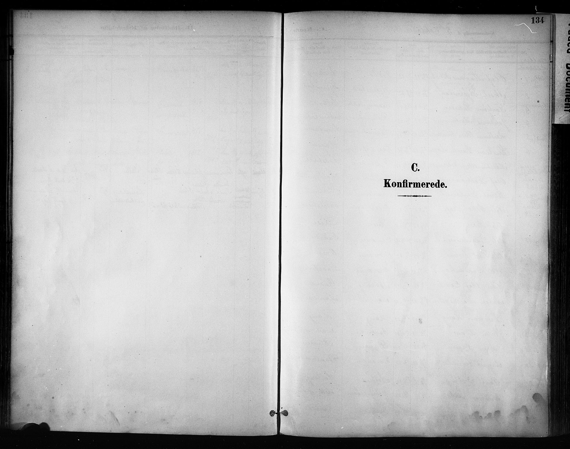 Østre Toten prestekontor, AV/SAH-PREST-104/H/Ha/Haa/L0008: Parish register (official) no. 8, 1897-1909, p. 134