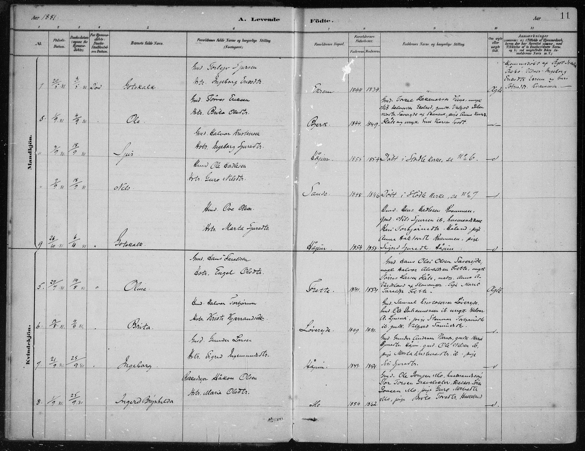 Etne sokneprestembete, AV/SAB-A-75001/H/Haa: Parish register (official) no. D  1, 1879-1919, p. 11