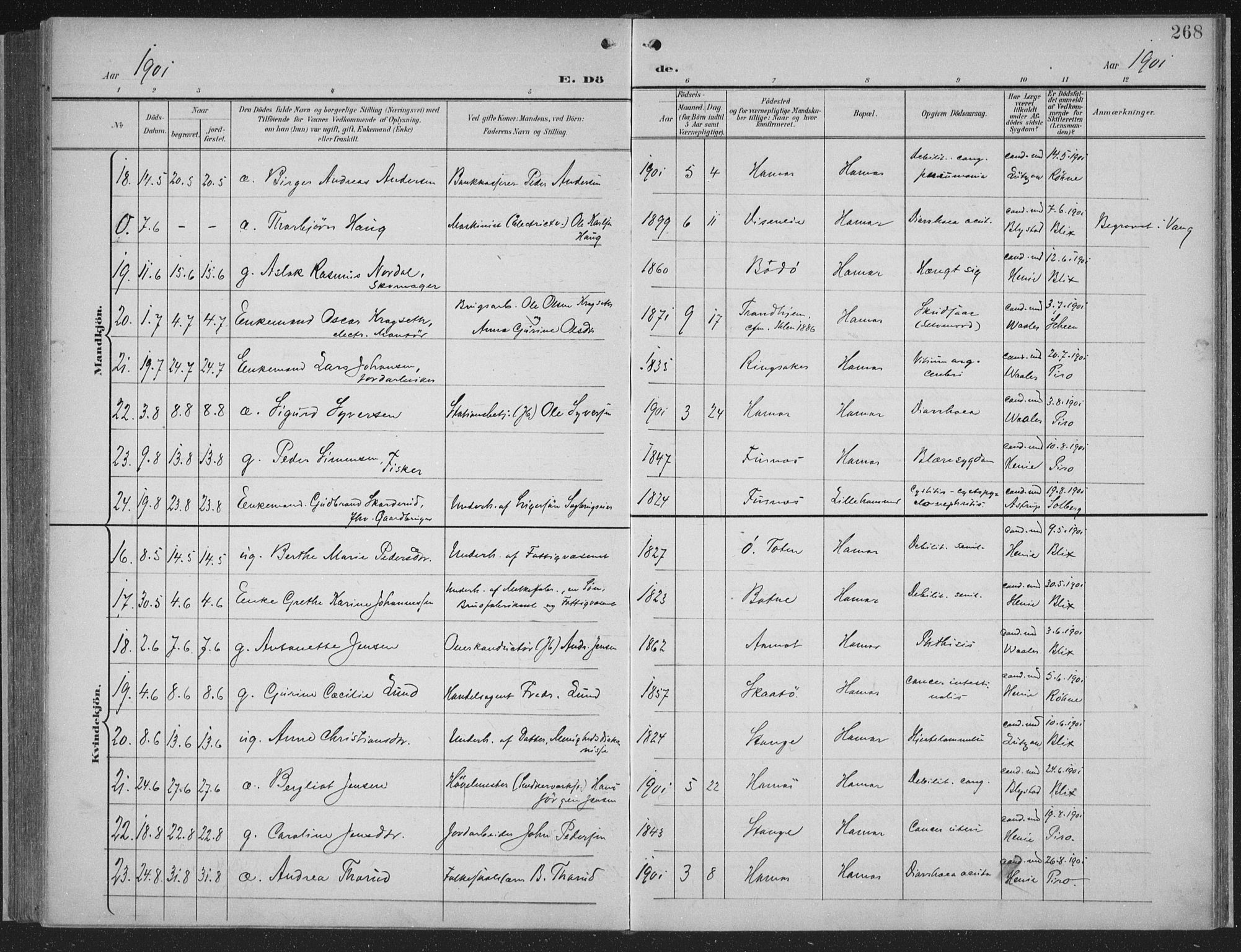 Hamar prestekontor, AV/SAH-DOMPH-002/H/Ha/Haa/L0001: Parish register (official) no. 1, 1900-1914, p. 268