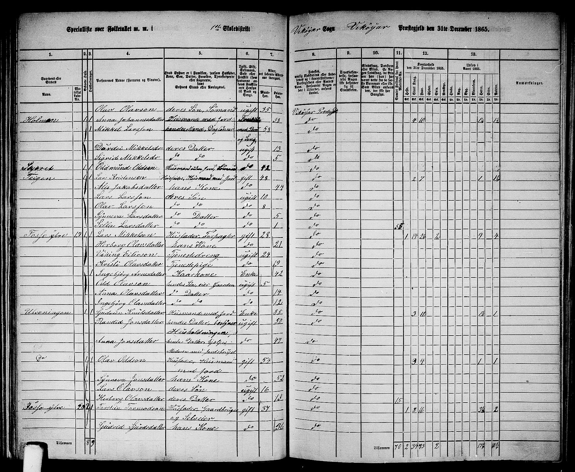 RA, 1865 census for Vikør, 1865, p. 15