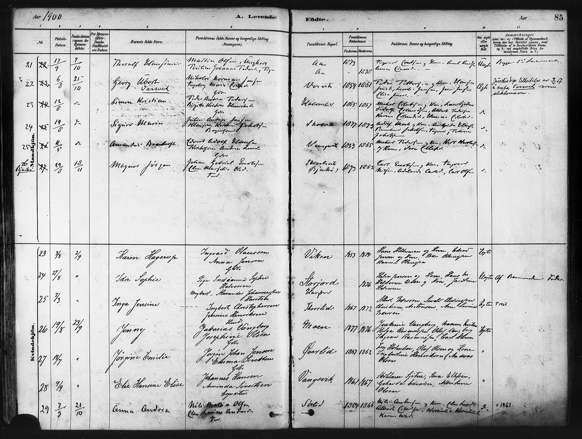 Tranøy sokneprestkontor, SATØ/S-1313/I/Ia/Iaa/L0009kirke: Parish register (official) no. 9, 1878-1904, p. 85