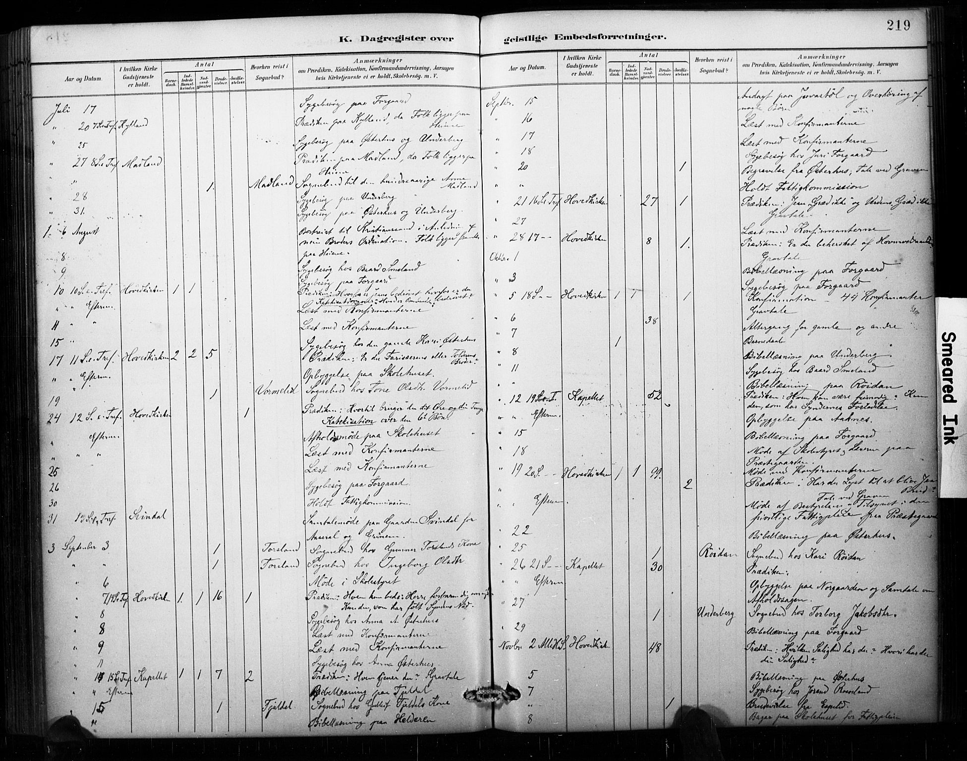 Åseral sokneprestkontor, AV/SAK-1111-0051/F/Fa/L0003: Parish register (official) no. A 3, 1884-1901, p. 219