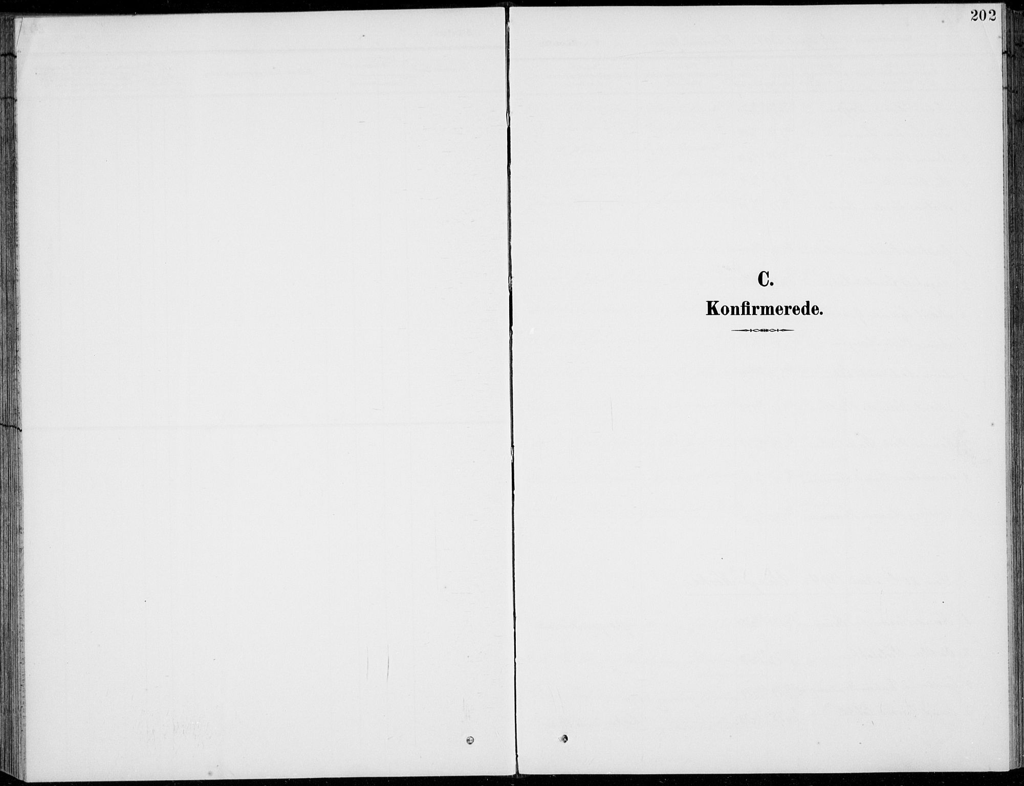 Vågå prestekontor, SAH/PREST-076/H/Ha/Hab/L0002: Parish register (copy) no. 2, 1894-1939, p. 202